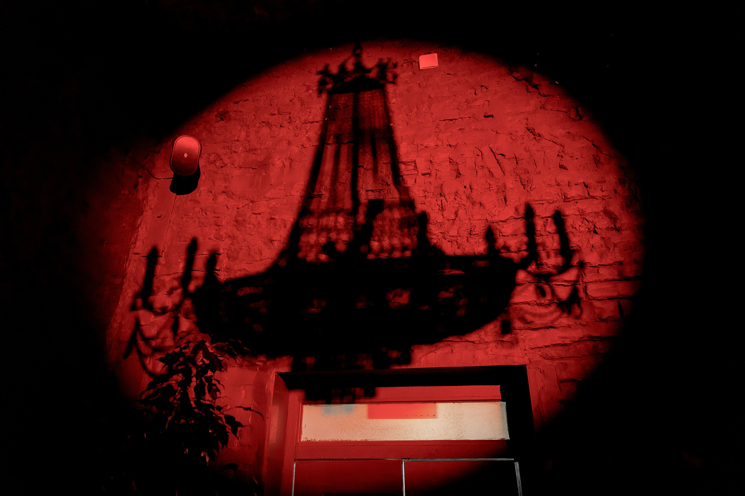 Happy Birthday Punk & Rock. Свадебный фотограф в Москве