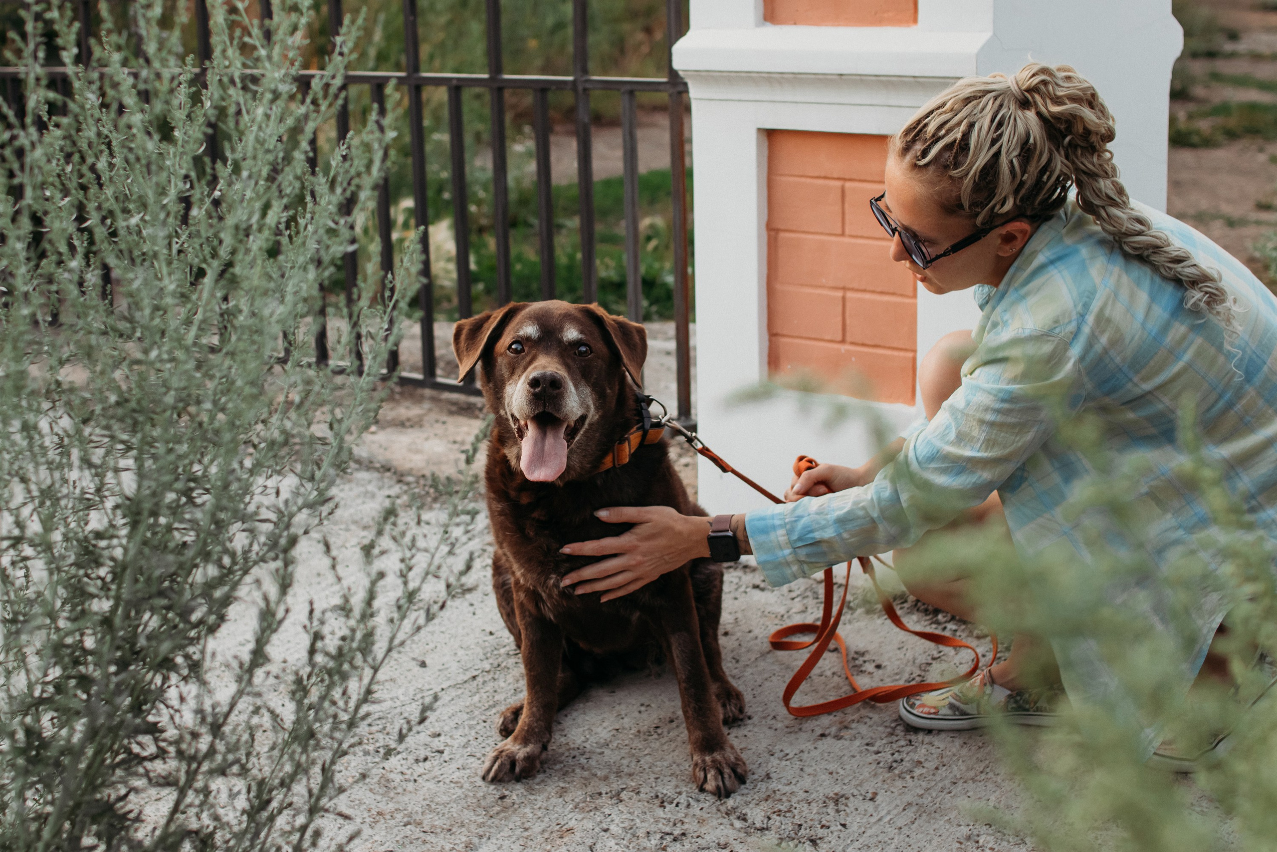 Юля и Свити. Фотограф Наталья Потапова