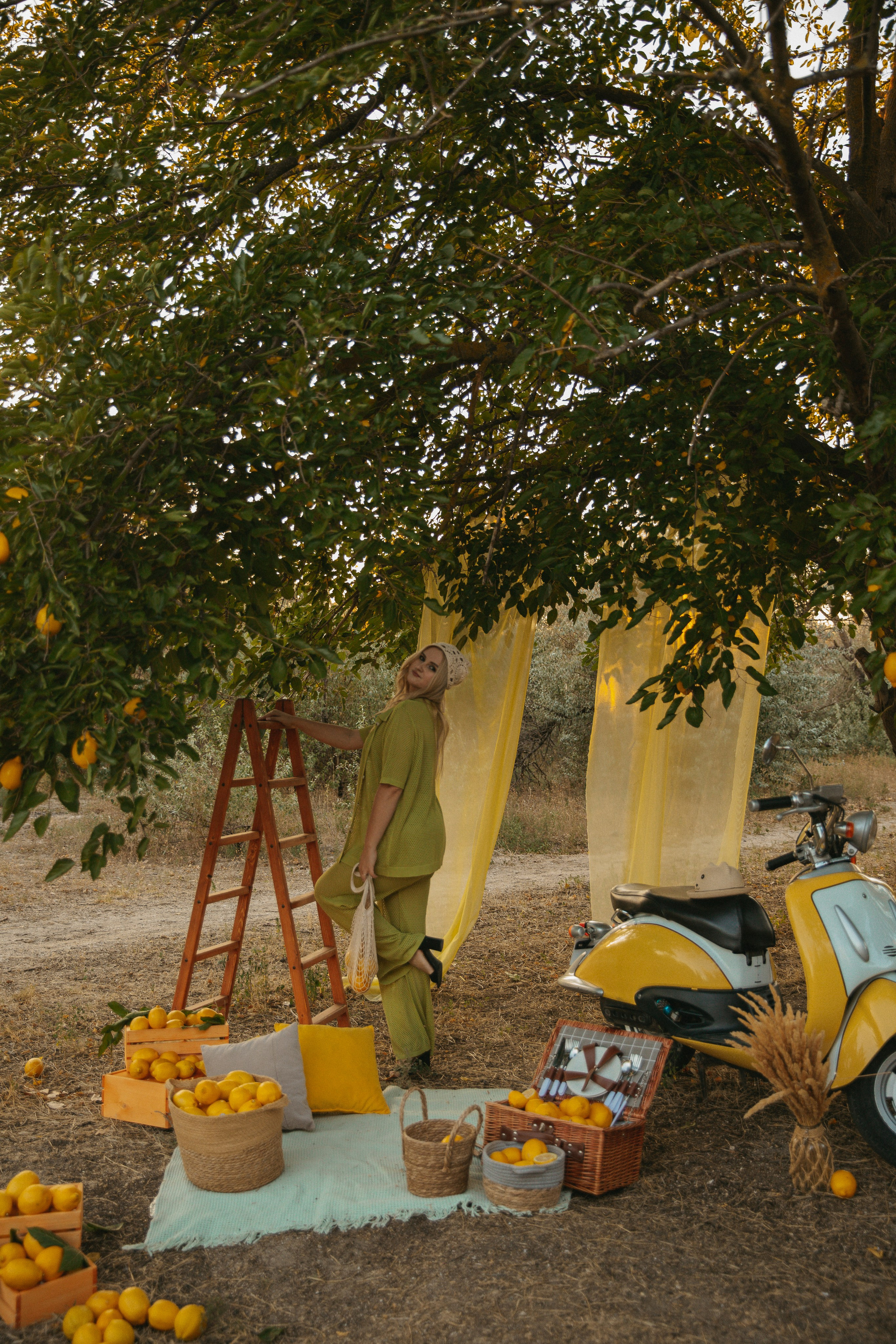 Фотопроект с лимонами