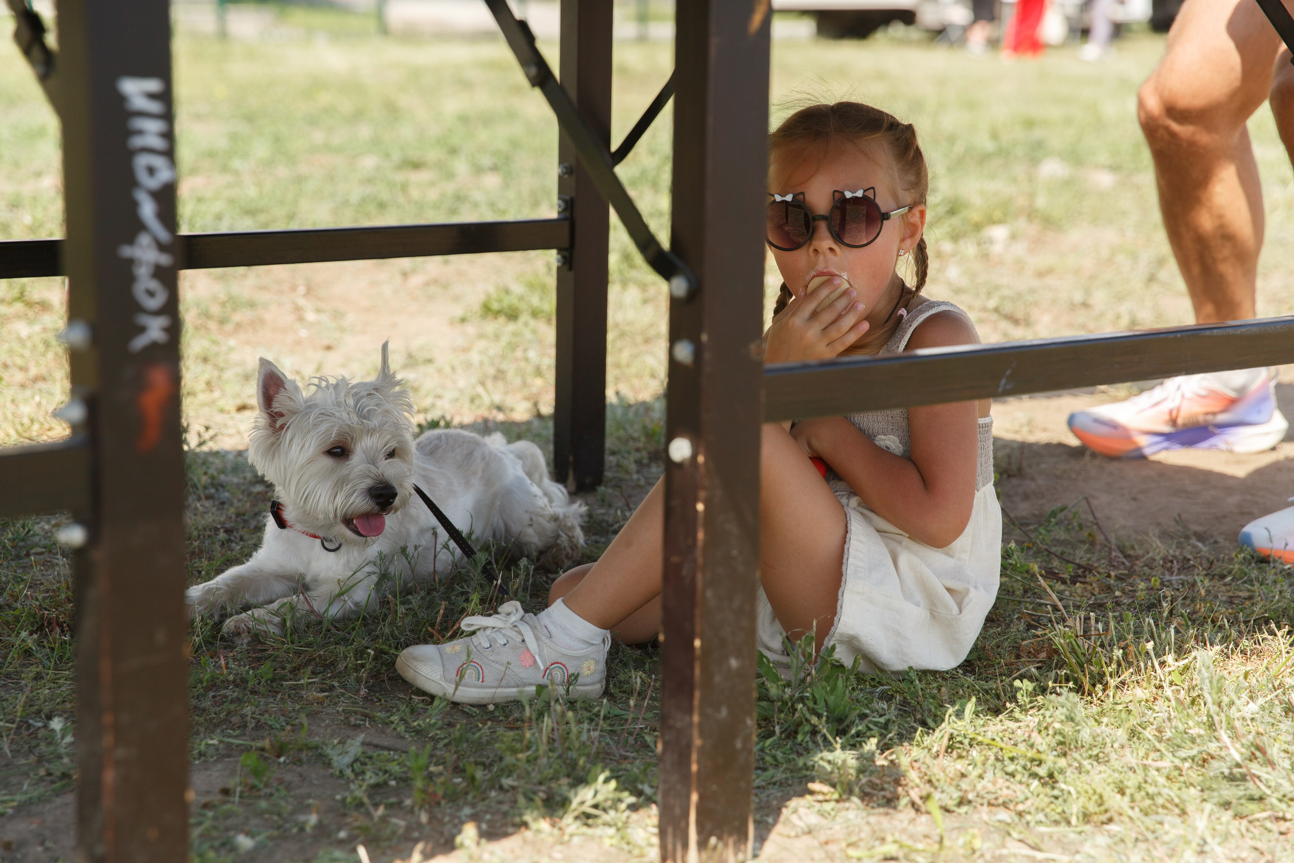 Фотограф на мероприятие в Нижнем Новгороде. Фотограф в Нижнем Новгороде Александр Хамов