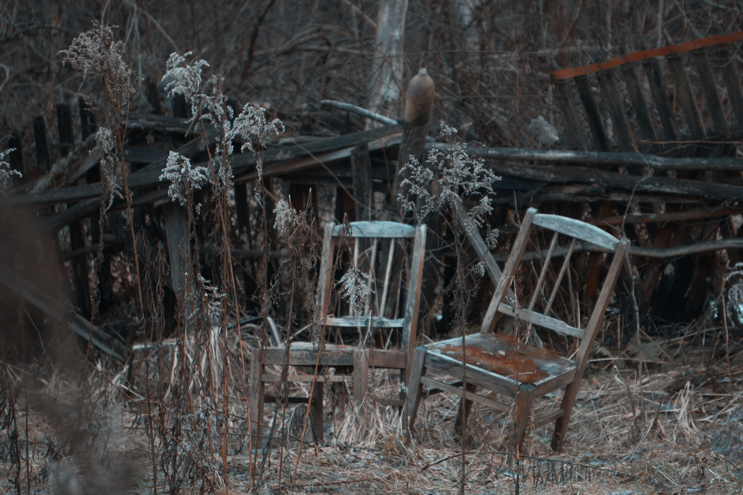 Bardo / Цветущие сны. Роман Ходырев — художник, фотограф, музыкант, эзотериолог. Санкт-Петербург, Рига
