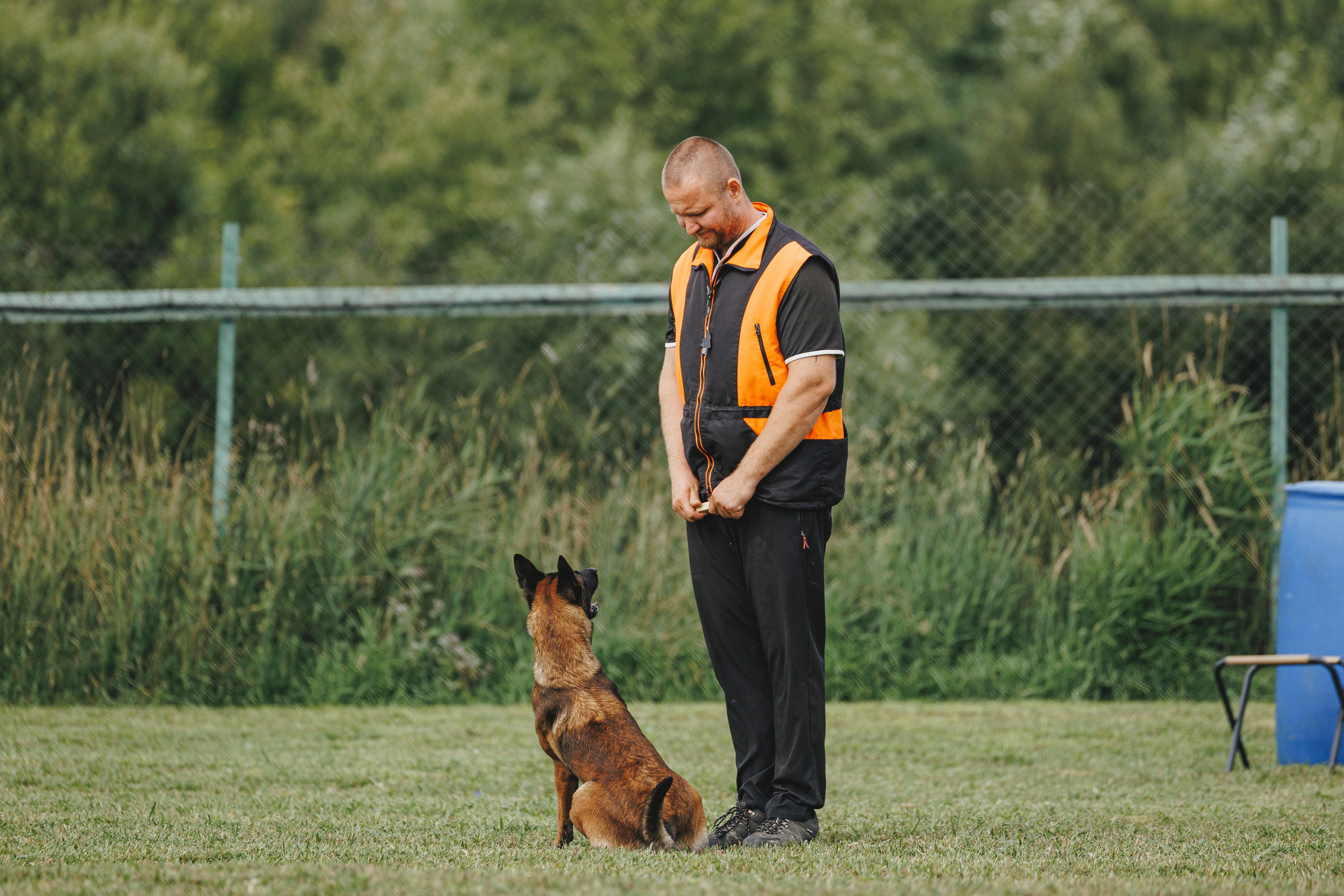 08.08.25-10.08.25 ЧР по мондьорингу г. Вологда. Фотограф-анималист Анна Маринич