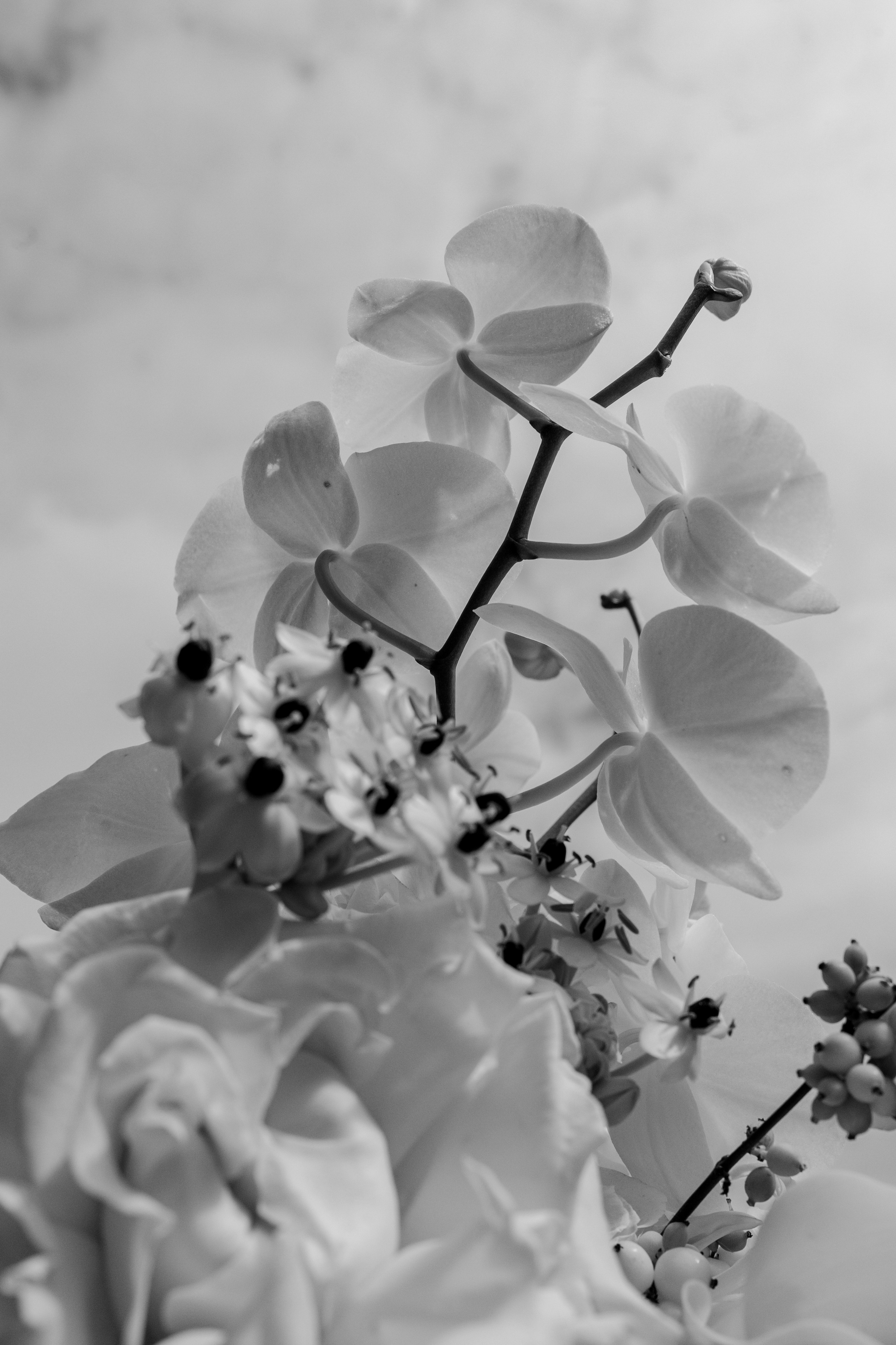 Wedding Day. Свадебный и семейный фотограф Динар Гильмутдинов