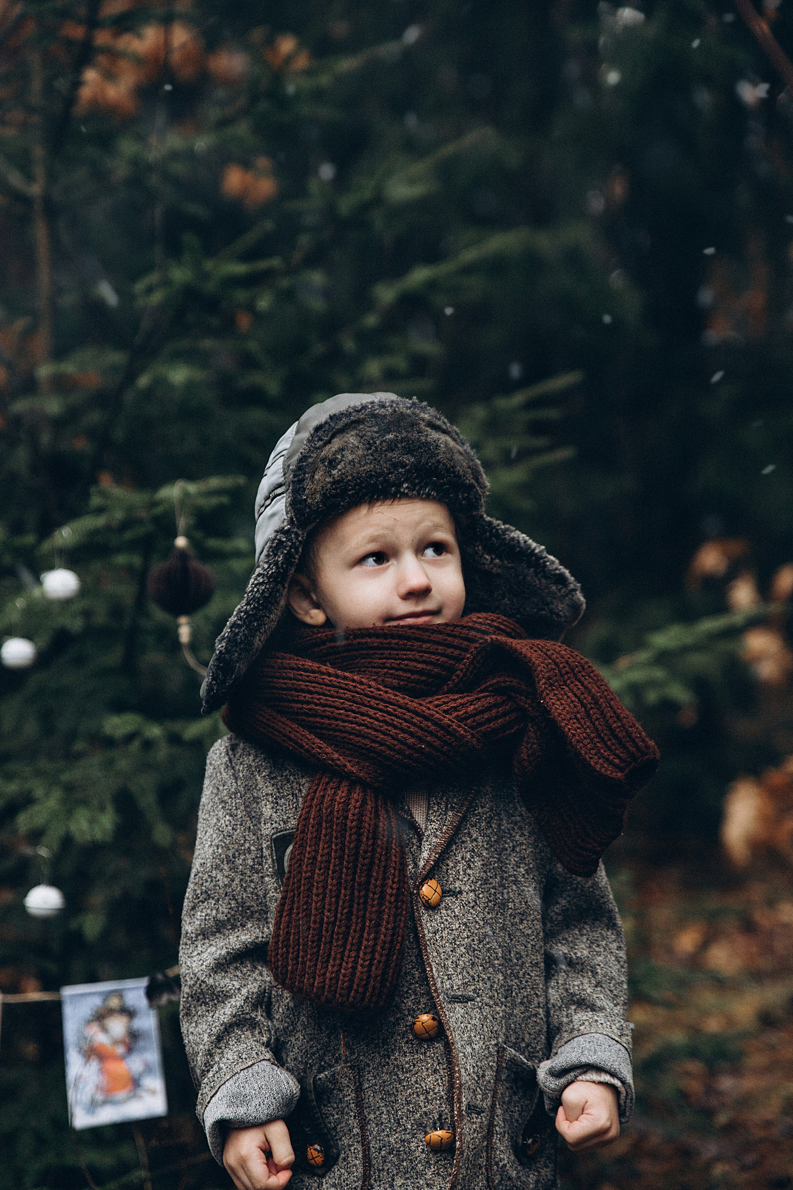 Елка в лесу. Репортажный и детский фотограф в Минске