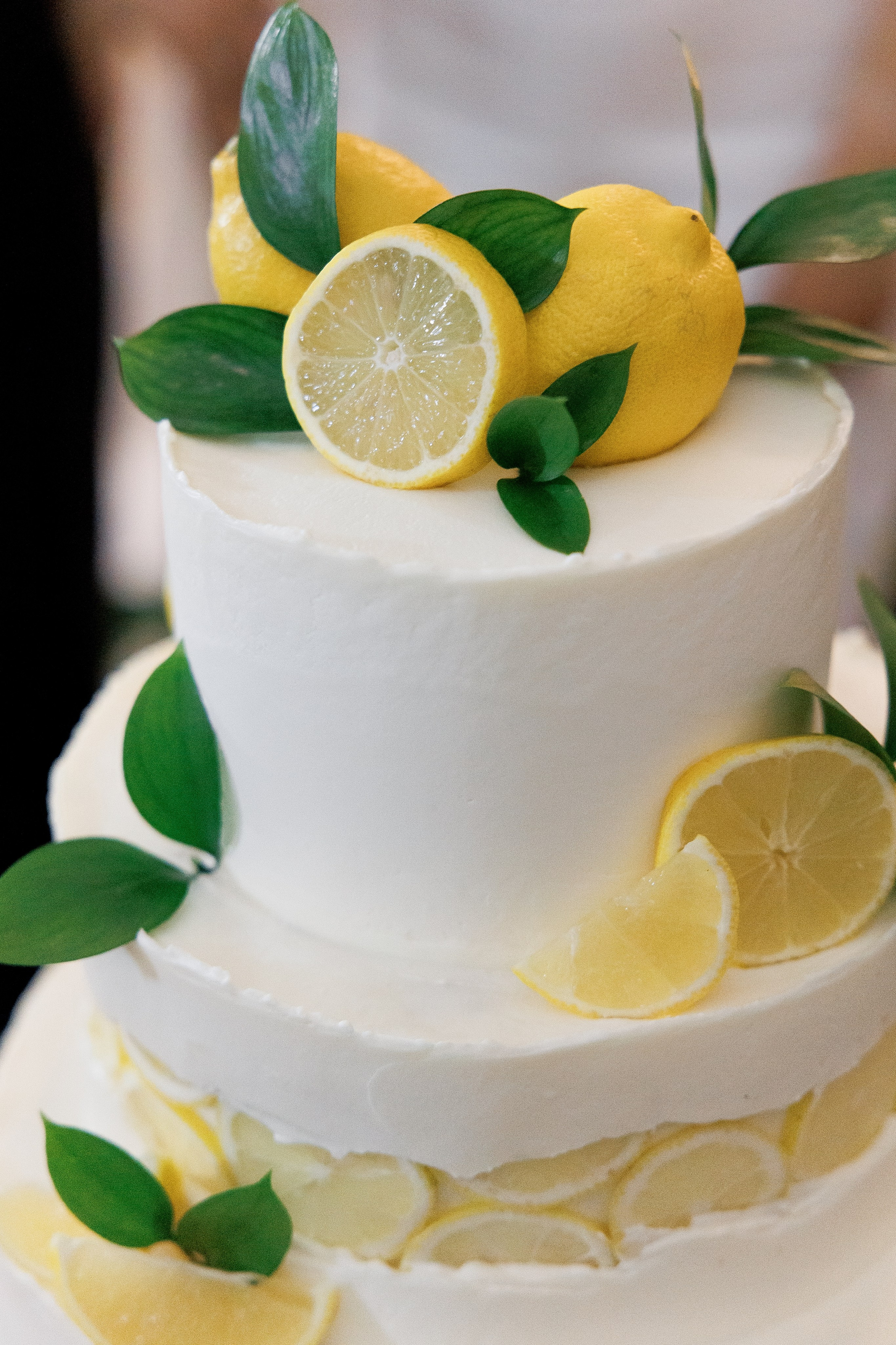 Анонс свадьбы Максима и Елизаветы. Свадебный фотограф Домодедово Москва Катерина Алехина