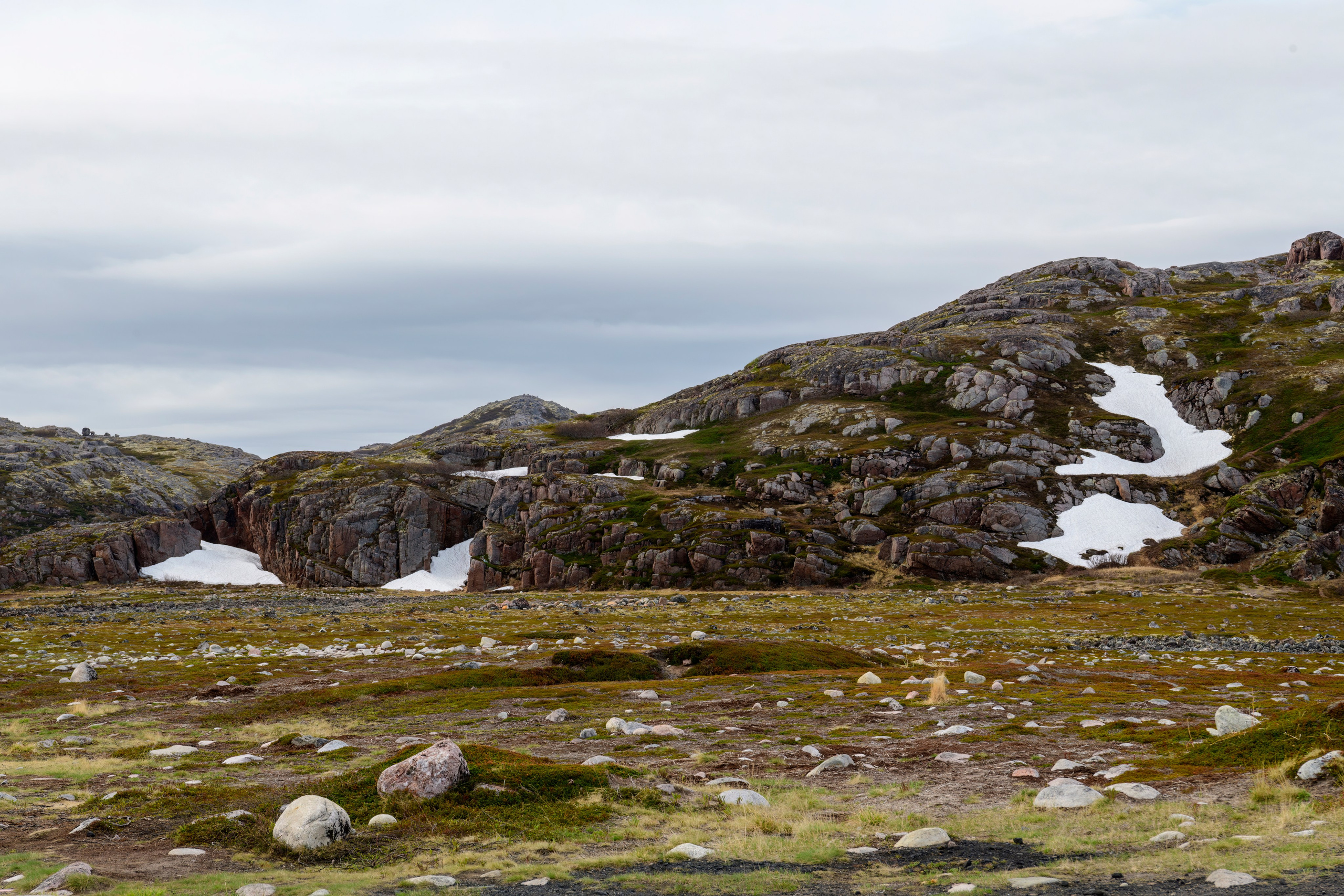 Мурманская область. Июнь 2024. Фотограф Сергей Пупонин