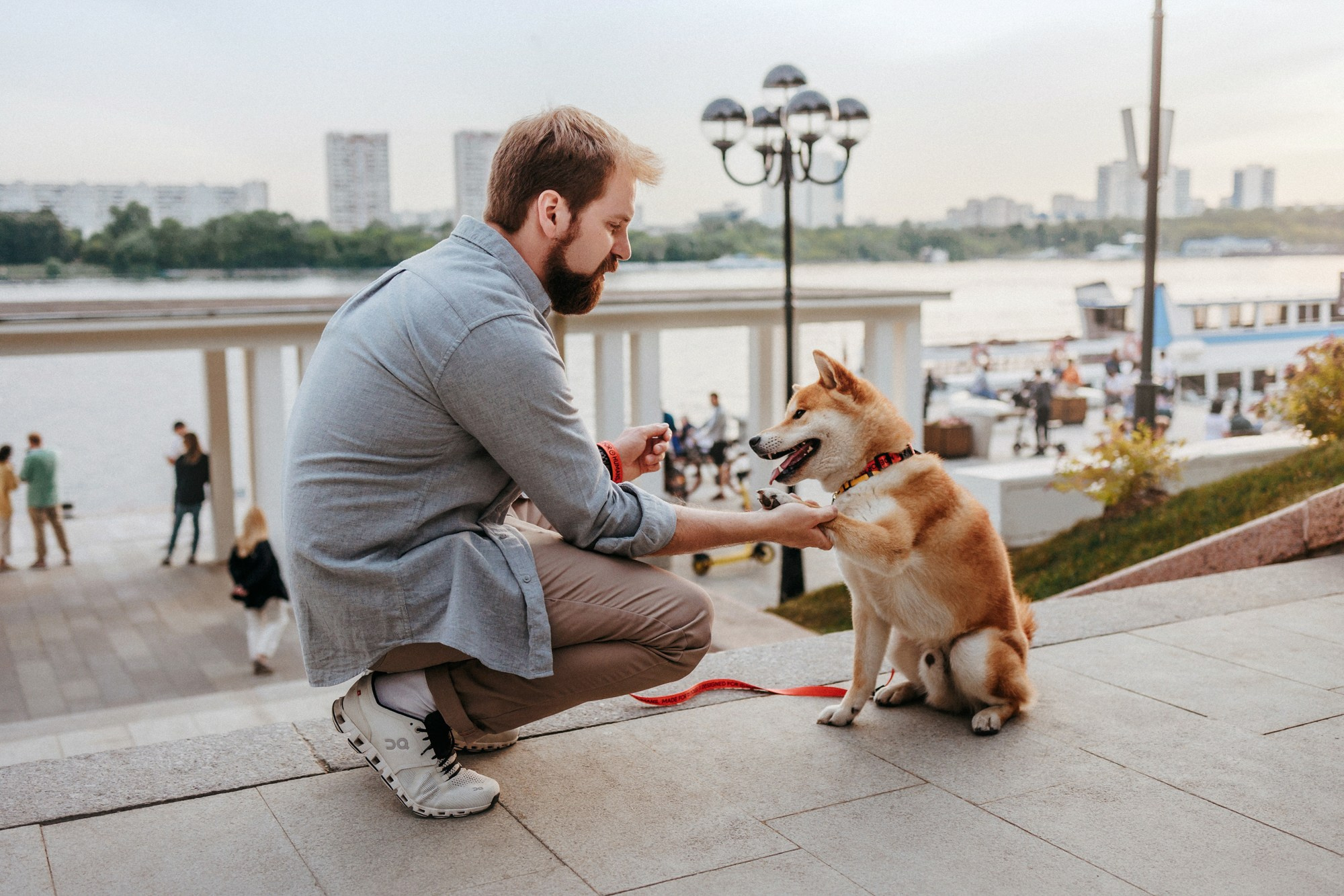 Аня, Влад и Ики. Фотограф-анималист Елена Радченко, Москва