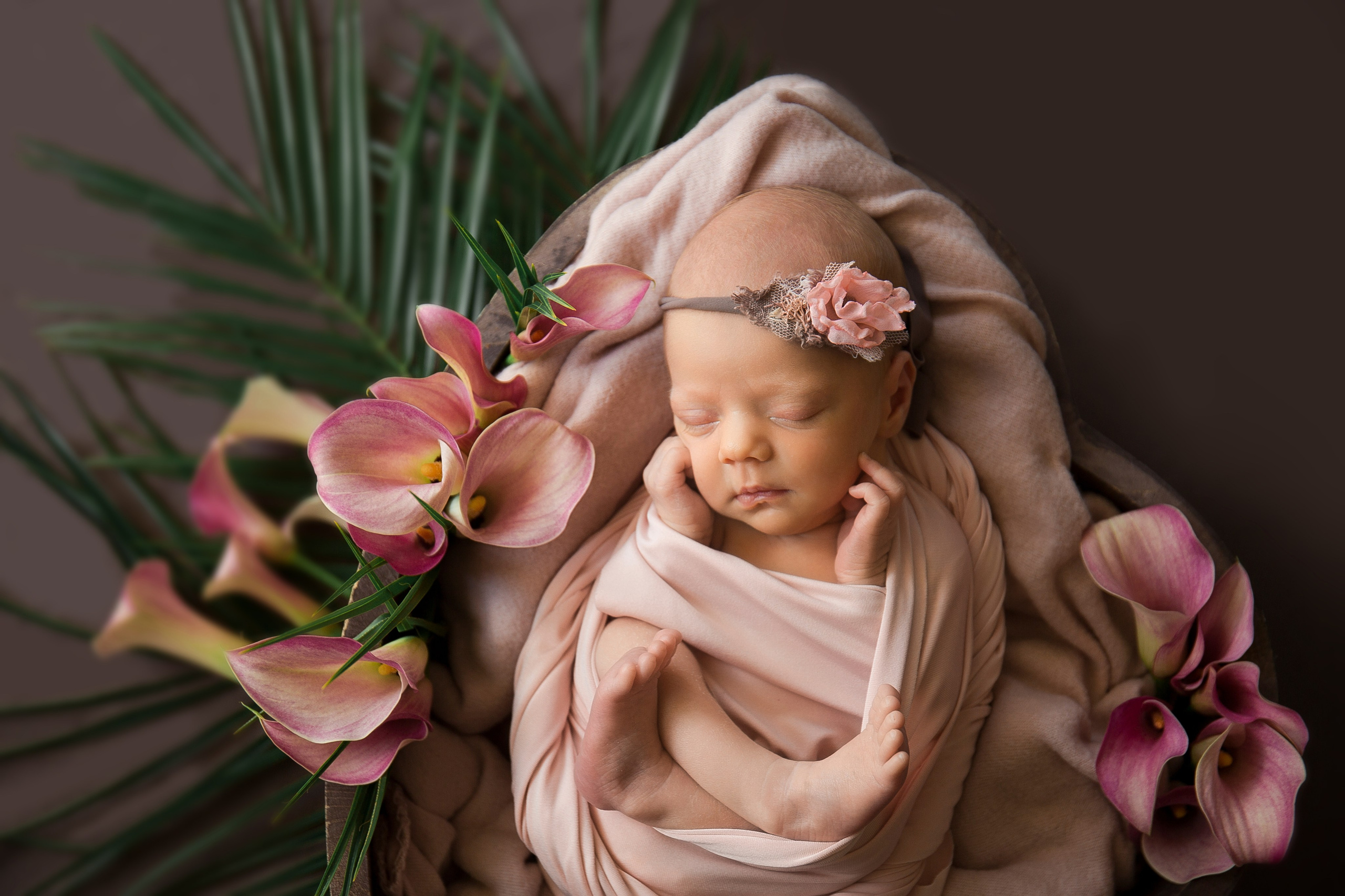 Контакты. Фотостудия, фотограф новорожденных в Брюховецком районе Татьяна Кауц. Многолетний опыт работы с новорожденными и молодыми семьями