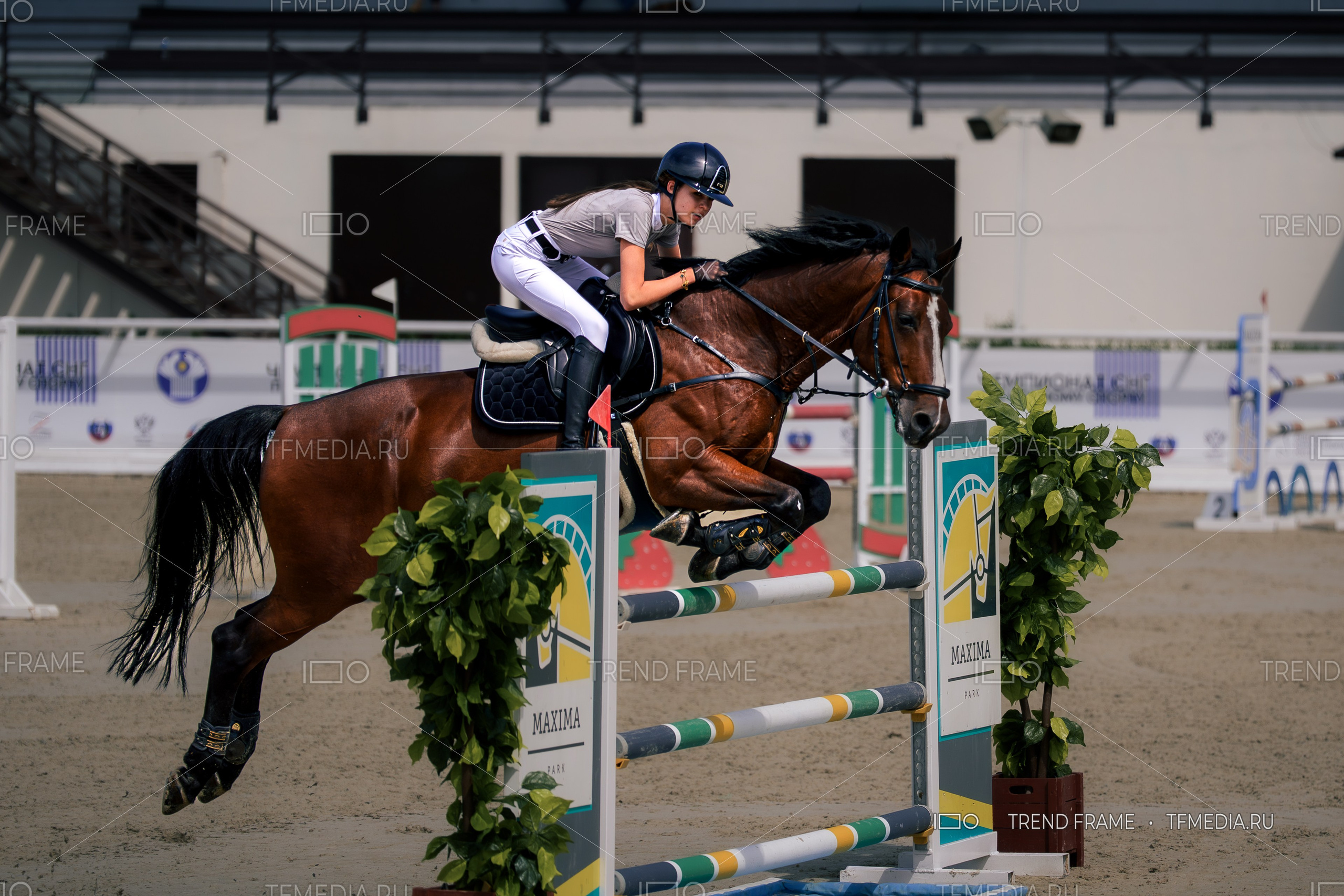 Maxima Park, Евразийские Игры 2025 — соревнования по конному спорту