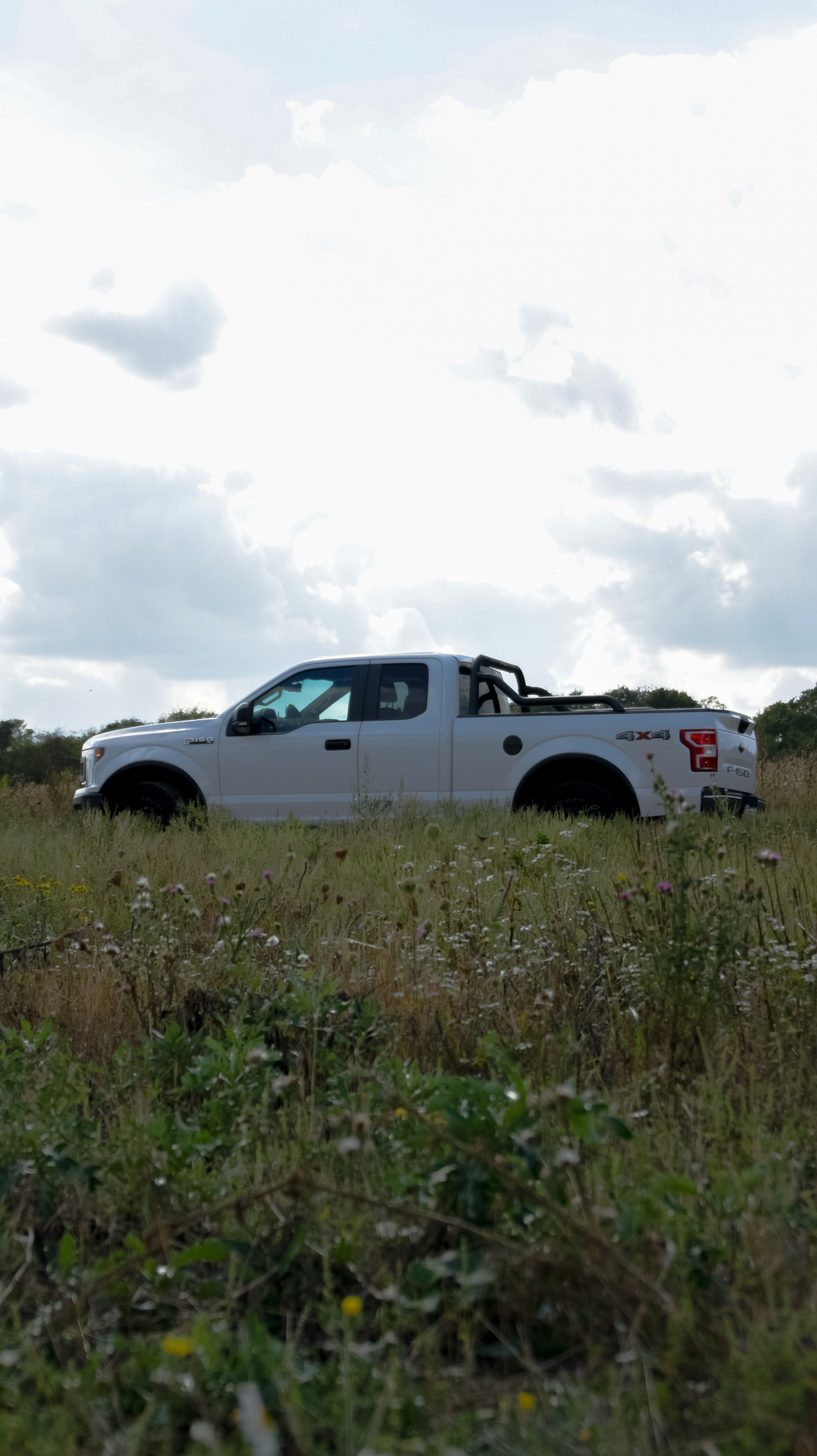 FORD-F. Съемка авто в Ставрополе: фото и видео 360 | pohubl