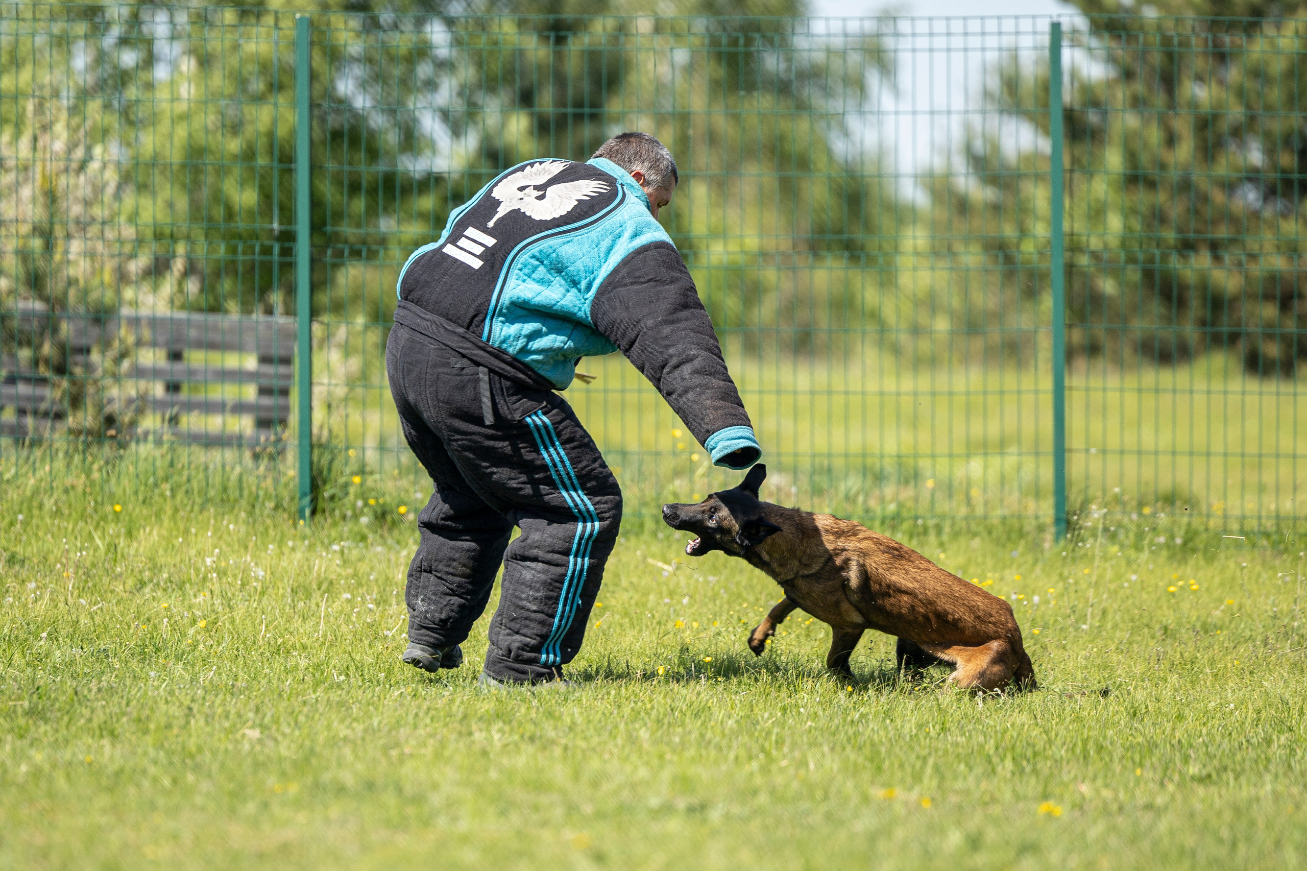 Испытания по мондьорингу в Нижнем Новгороде. Фотограф-анималист Анна Маринич