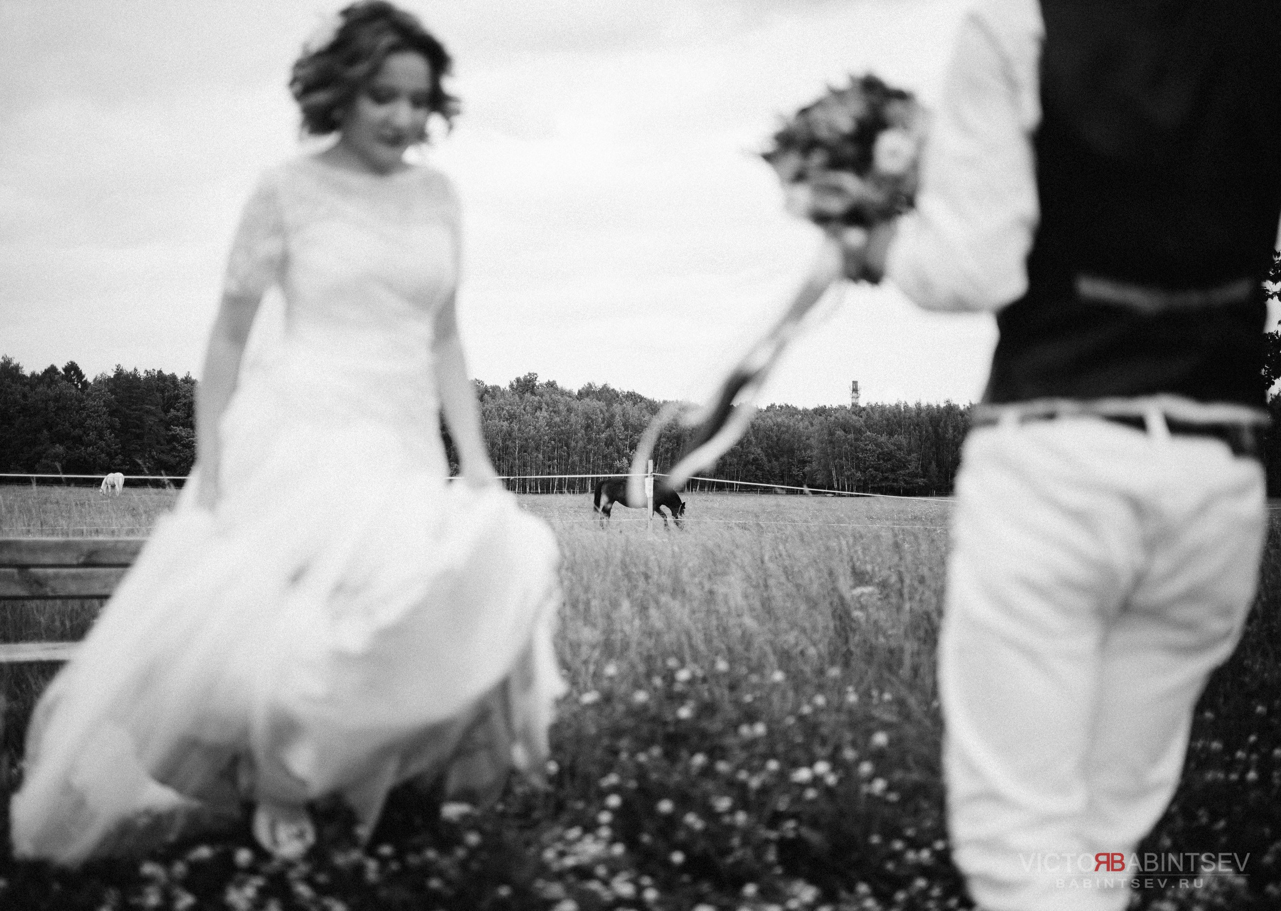 Иван и Елена. Семейный и репортажной фотограф в Красноярске и Москве Виктор Бабинцев