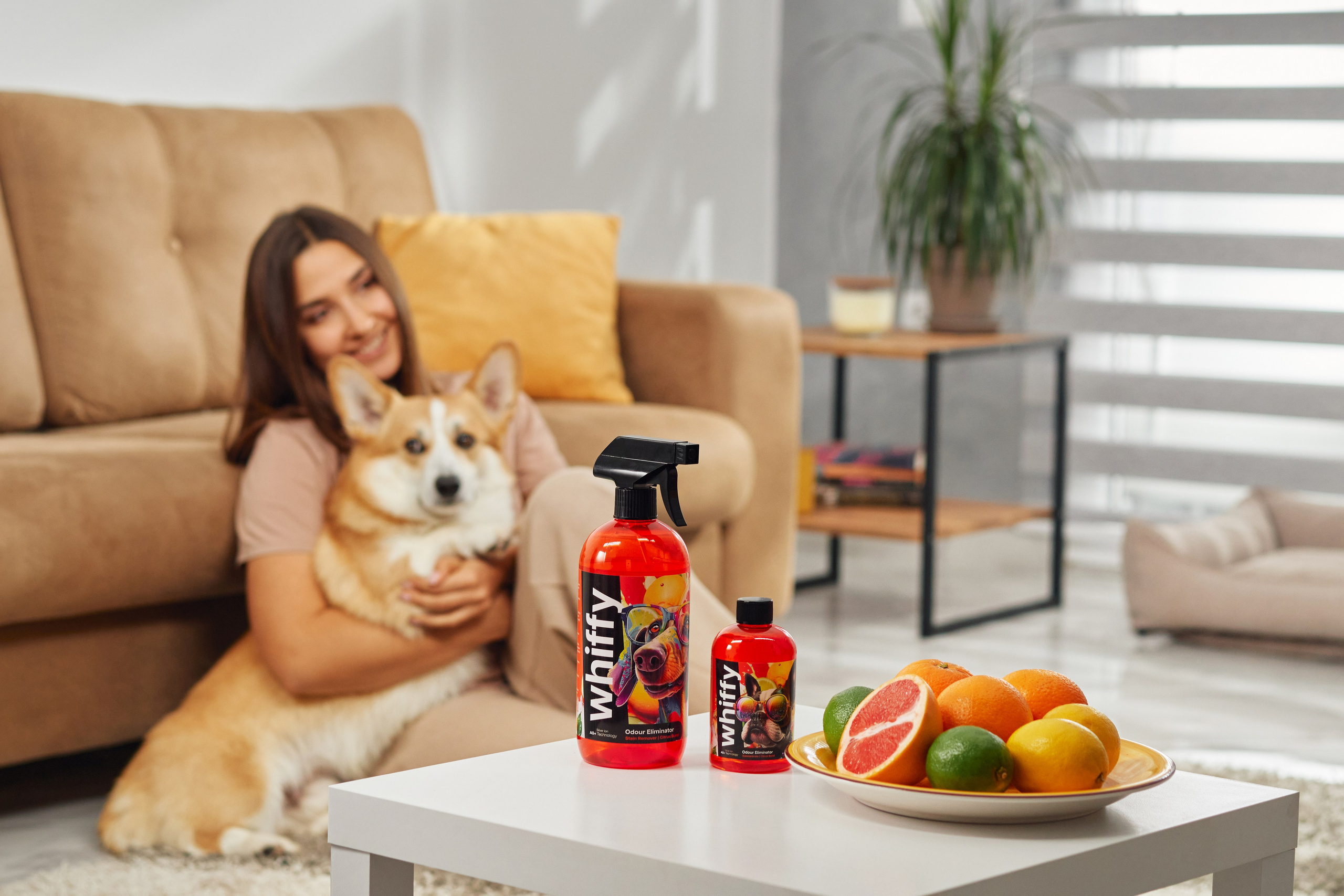 Advertising shooting with animals. Pets in advertising. Dog photographer Averianova Anna — Art photography of dogs