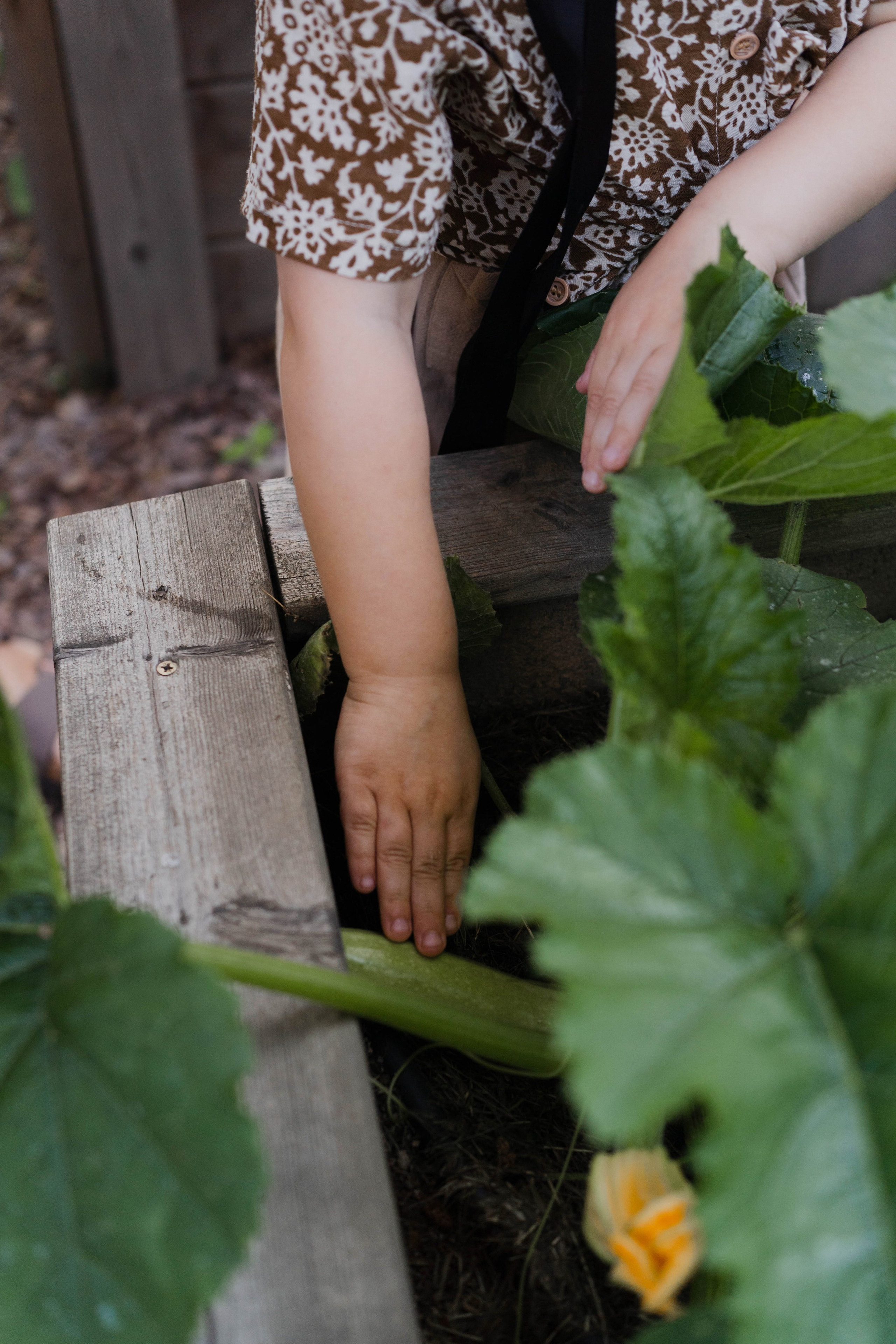 Семейные истории. ФОТОГРАФ КСЕНИЯ СОСНОВСКАЯ