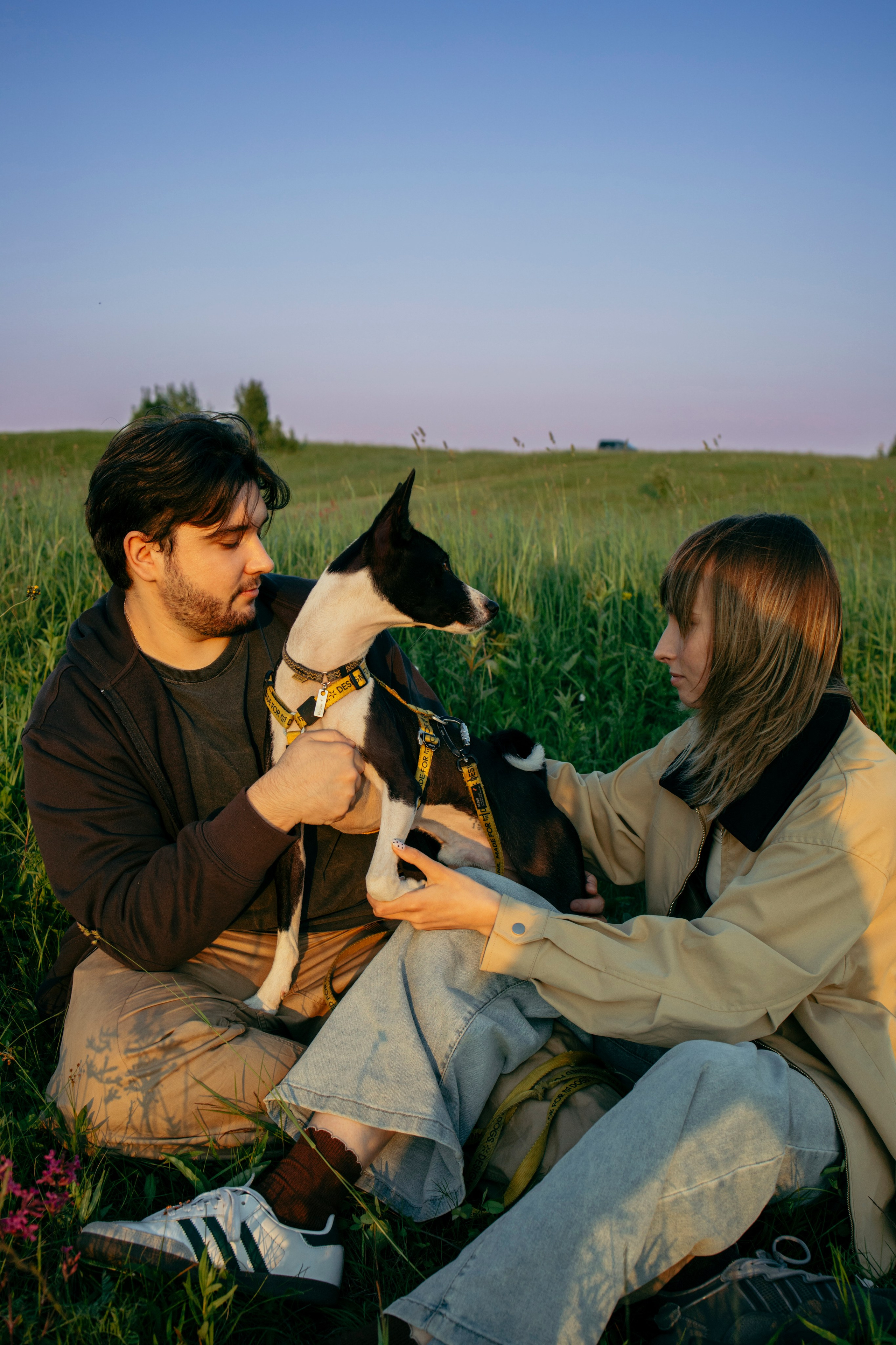 Итачи и его семья 🐾. Фотограф-анималист в Санкт-Петеребурге Титова Алиса