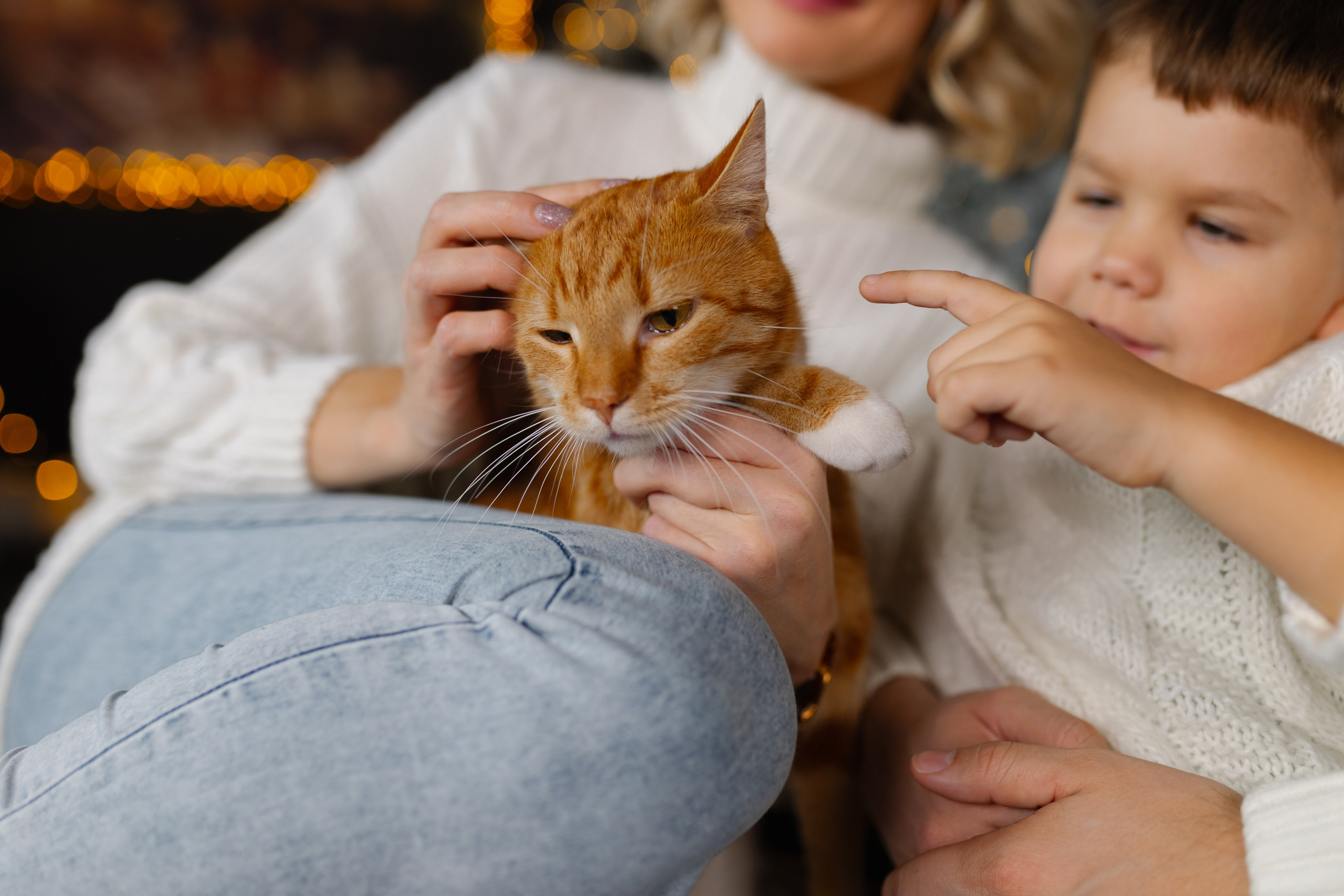 Семейная новогодняя съемка. Свадебный фотограф в Минске/Беларуси Сергей Спиридонов
