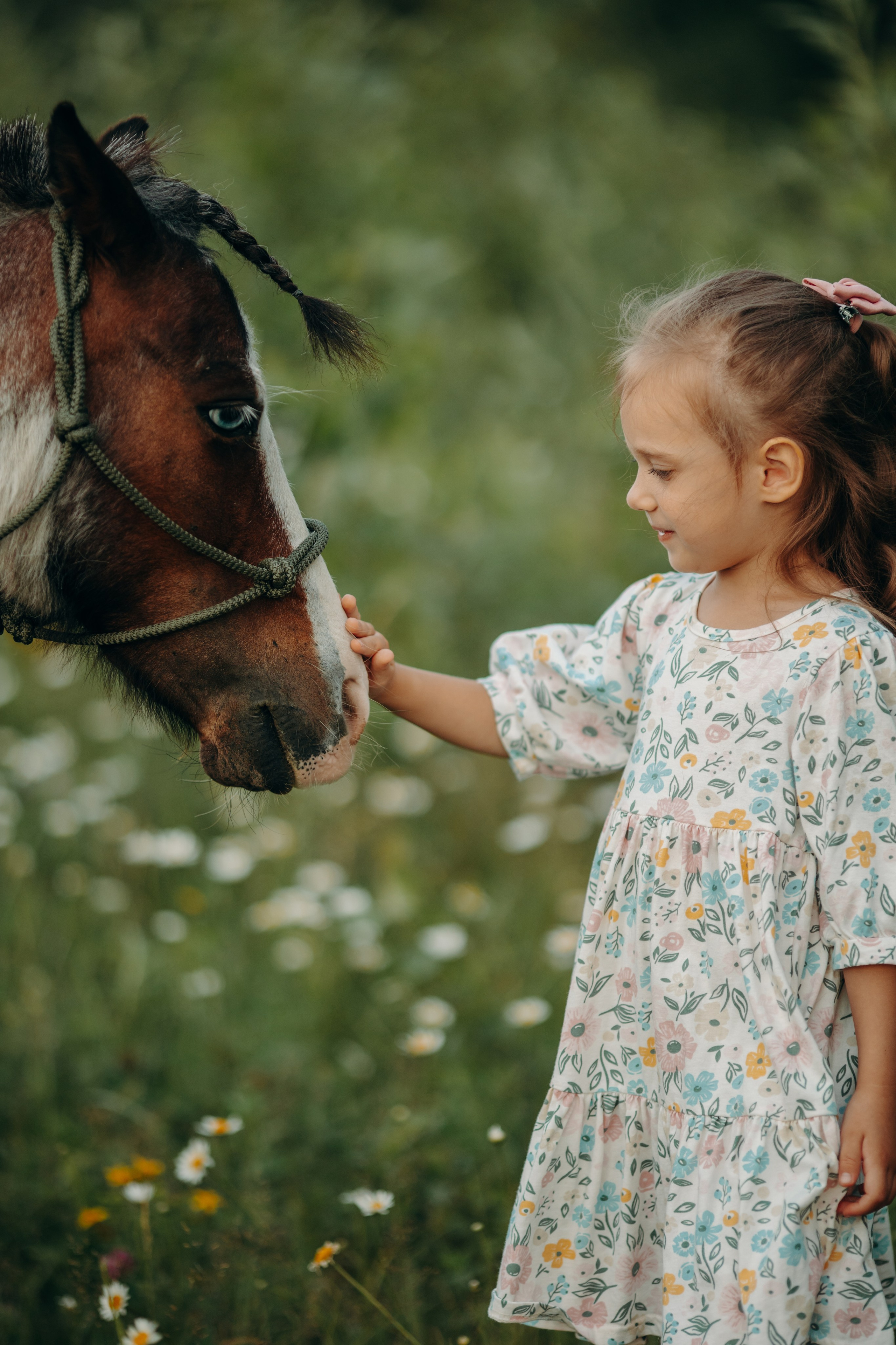 Малышка Вика. Анна Молчанова конный фотограф в Тюмени | фотосессии с лошадьми Тюмень