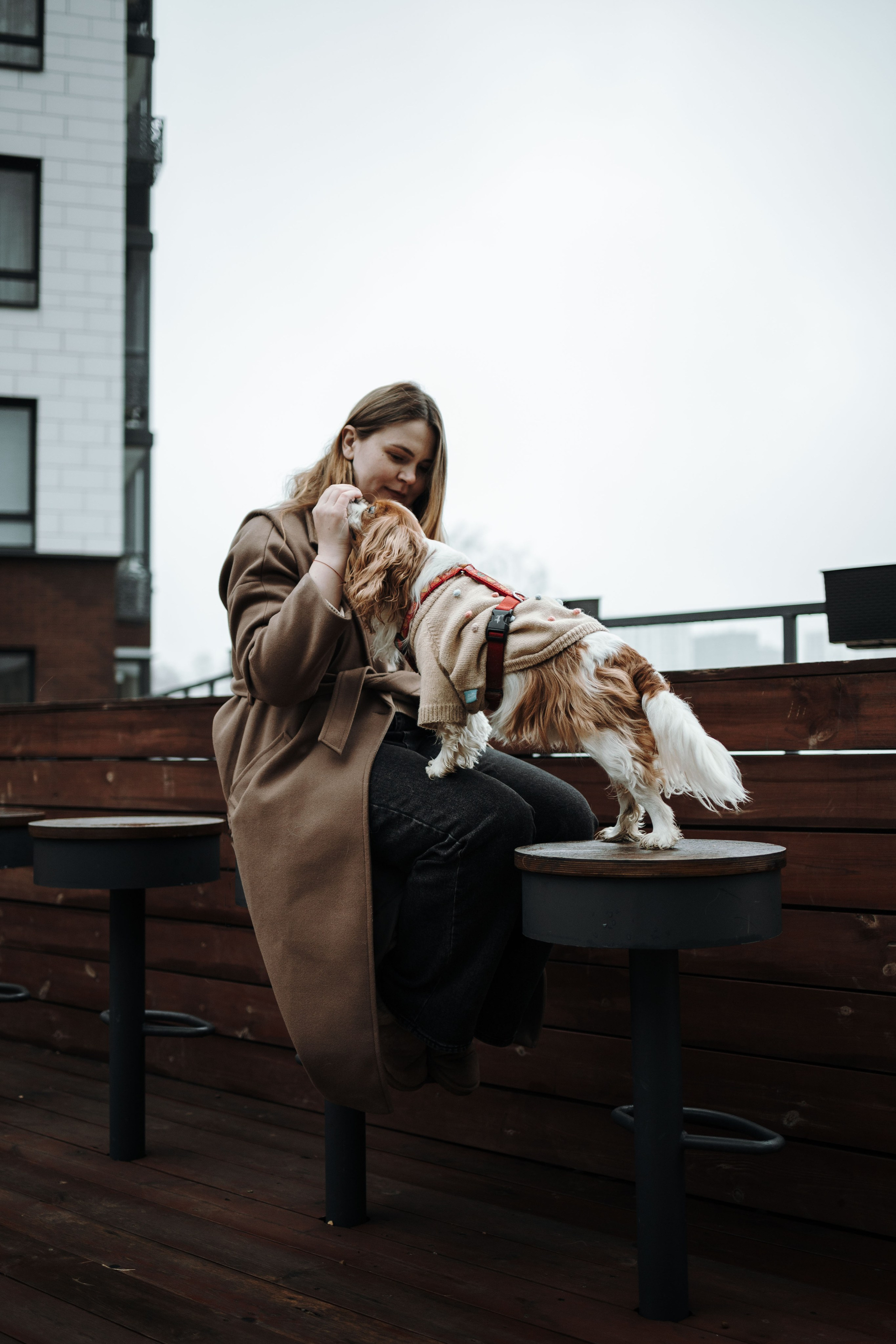 Любовь и Альтаир