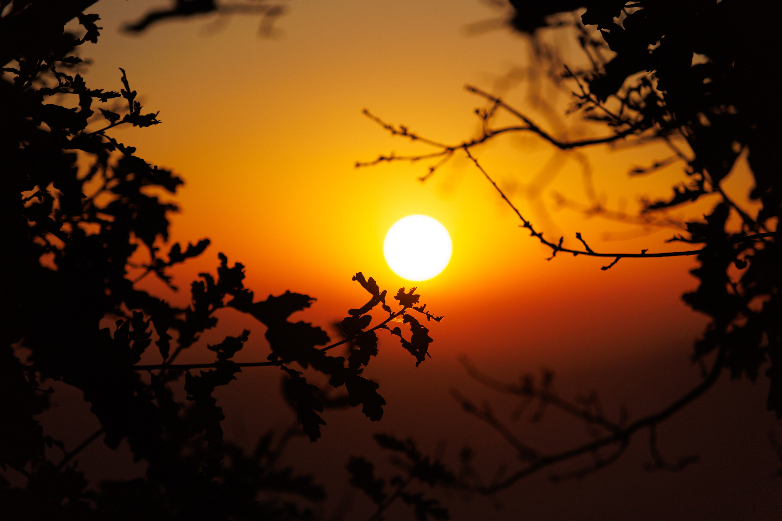 Природа. Спортивный фотограф Тремпольцева Анна