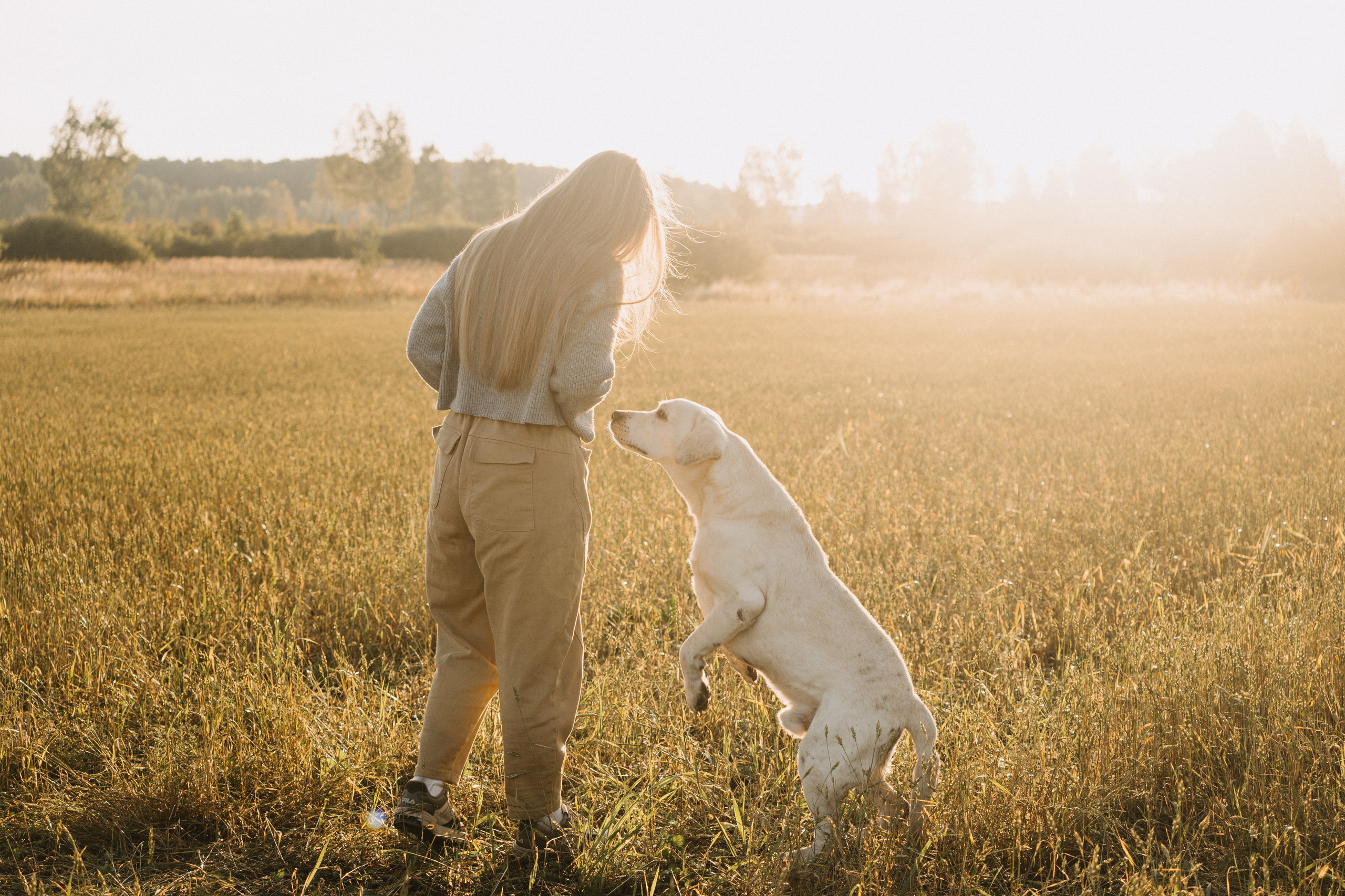 Дана и Арчи. Фотограф-анималист Анастасия Большакова