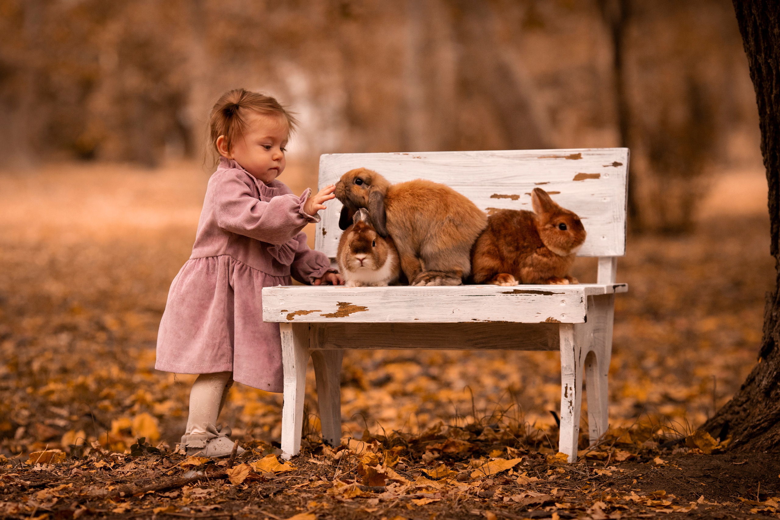 Осень. Детский и семейный фотограф в Краснодаре