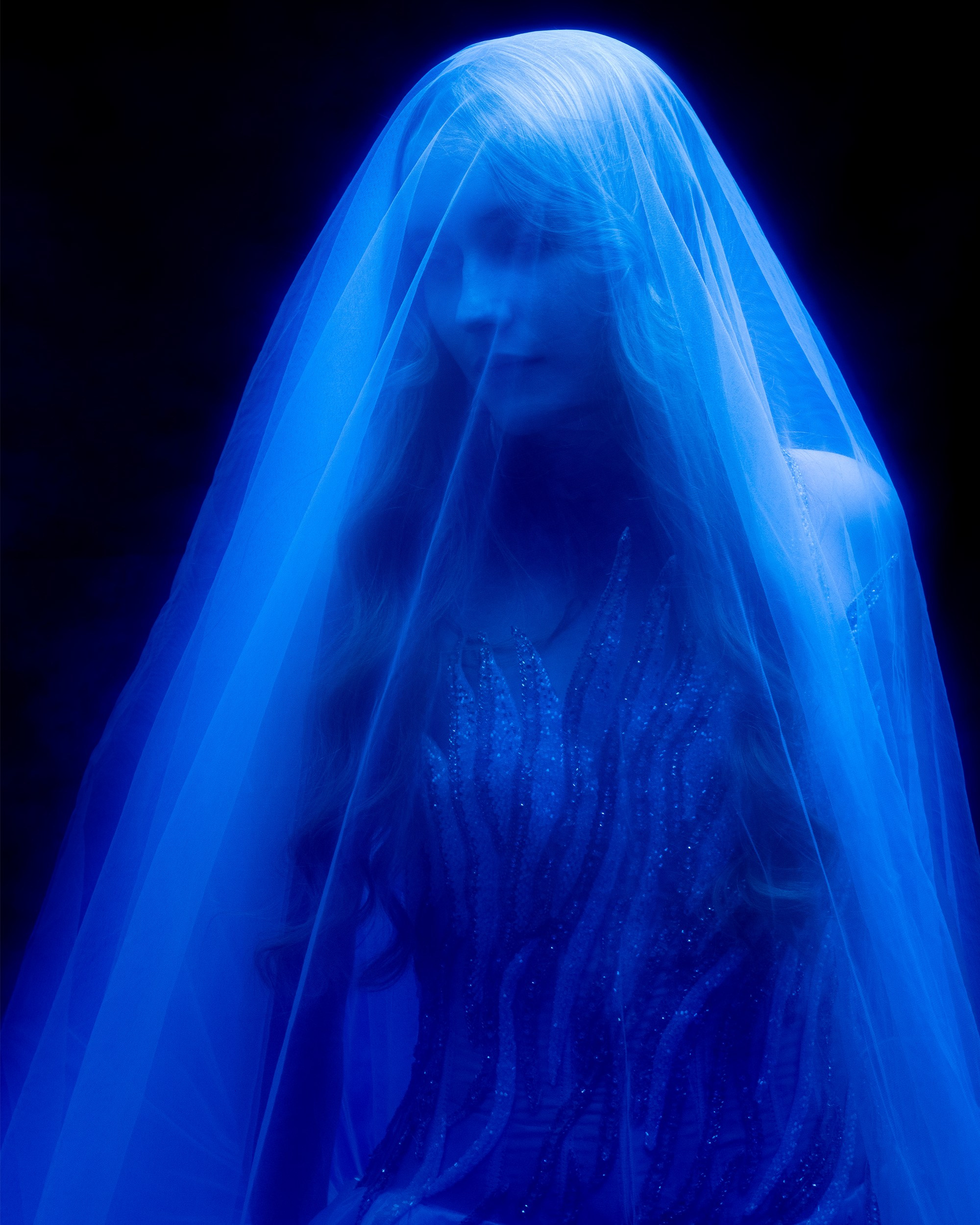 ELLI NA MAKOVOM POLE. Фотограф Анна Апрельская Москва| Moscow Anna Aprelskaya Photographer