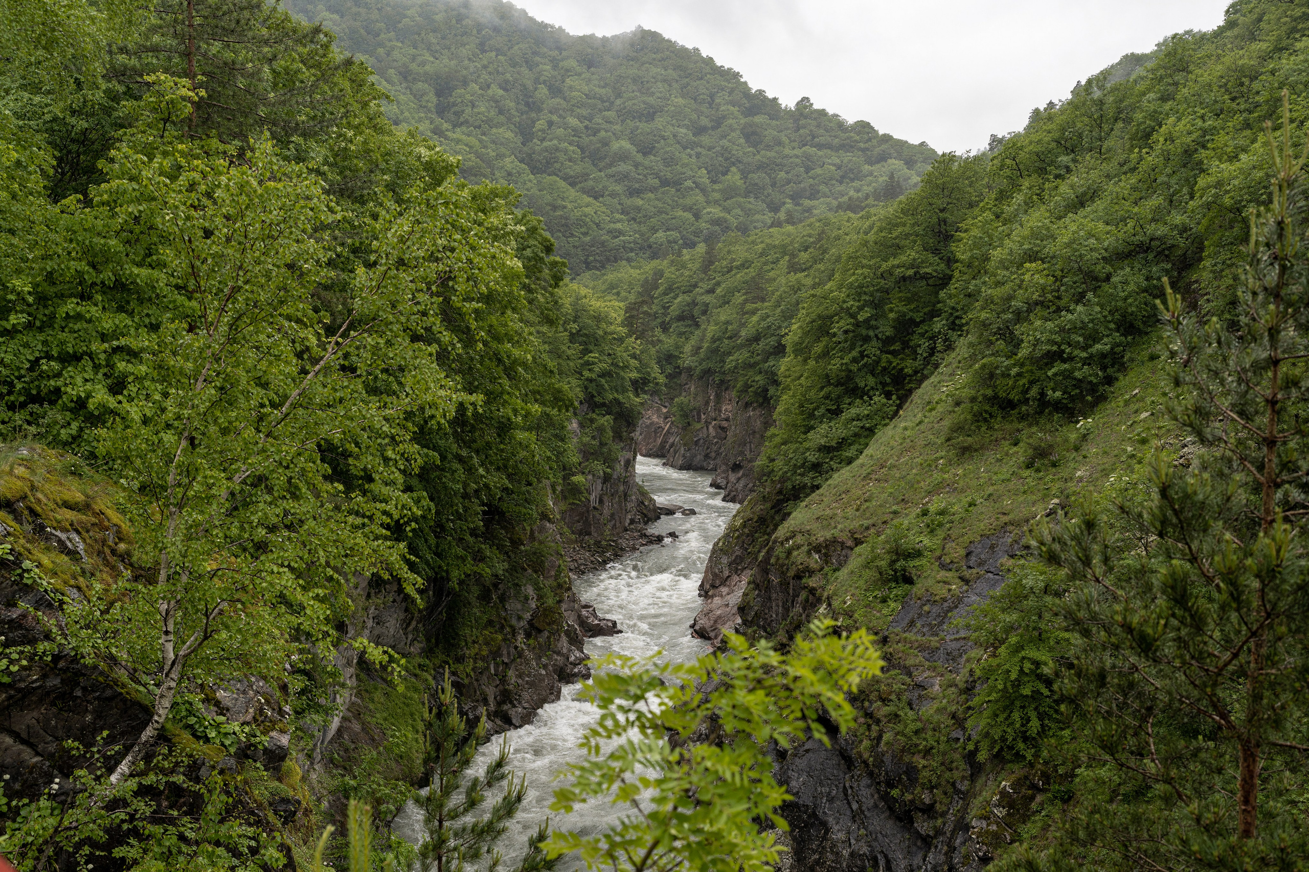 Блог. Фотограф и видеограф Елена Хмелевская