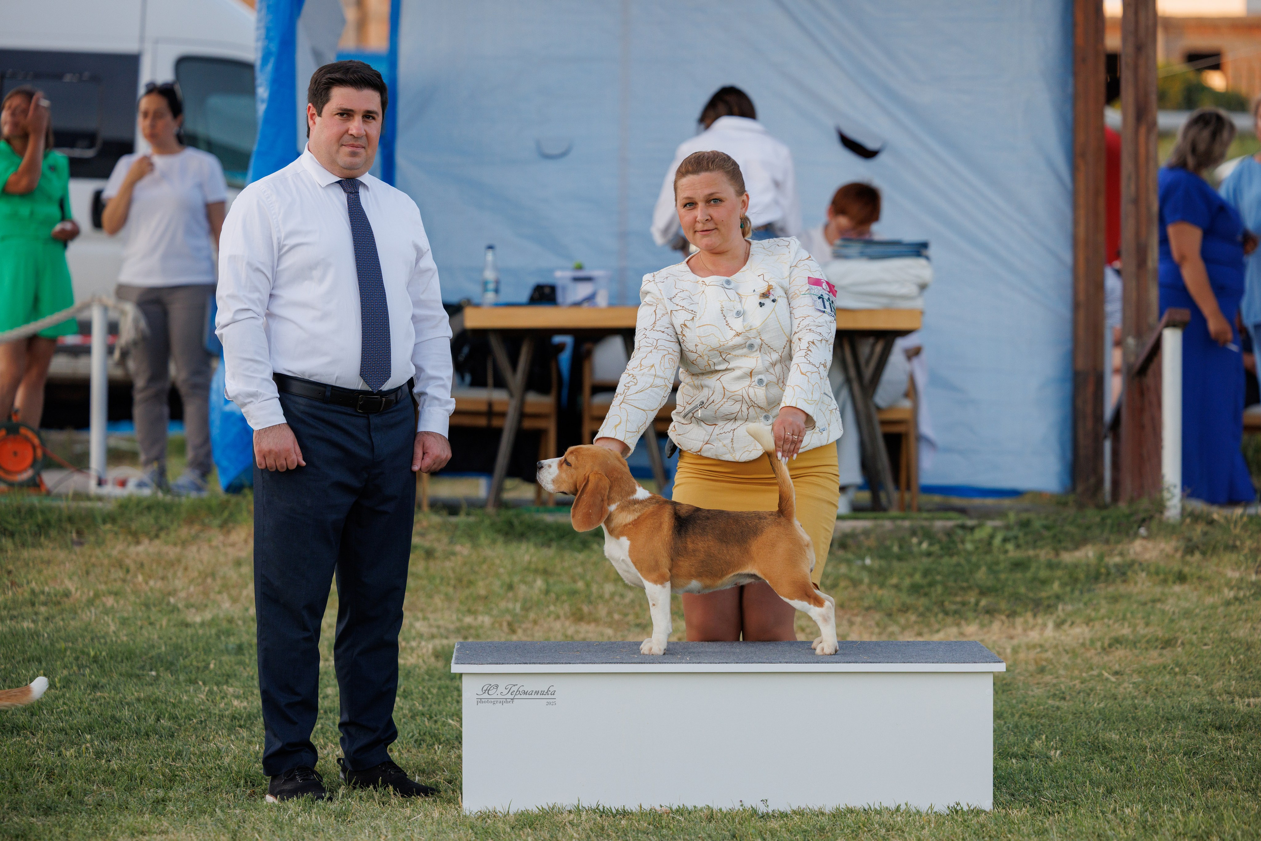 Ереван 3хCACIB 23-25.06.2025. Фотограф-анималист Юлия Германика