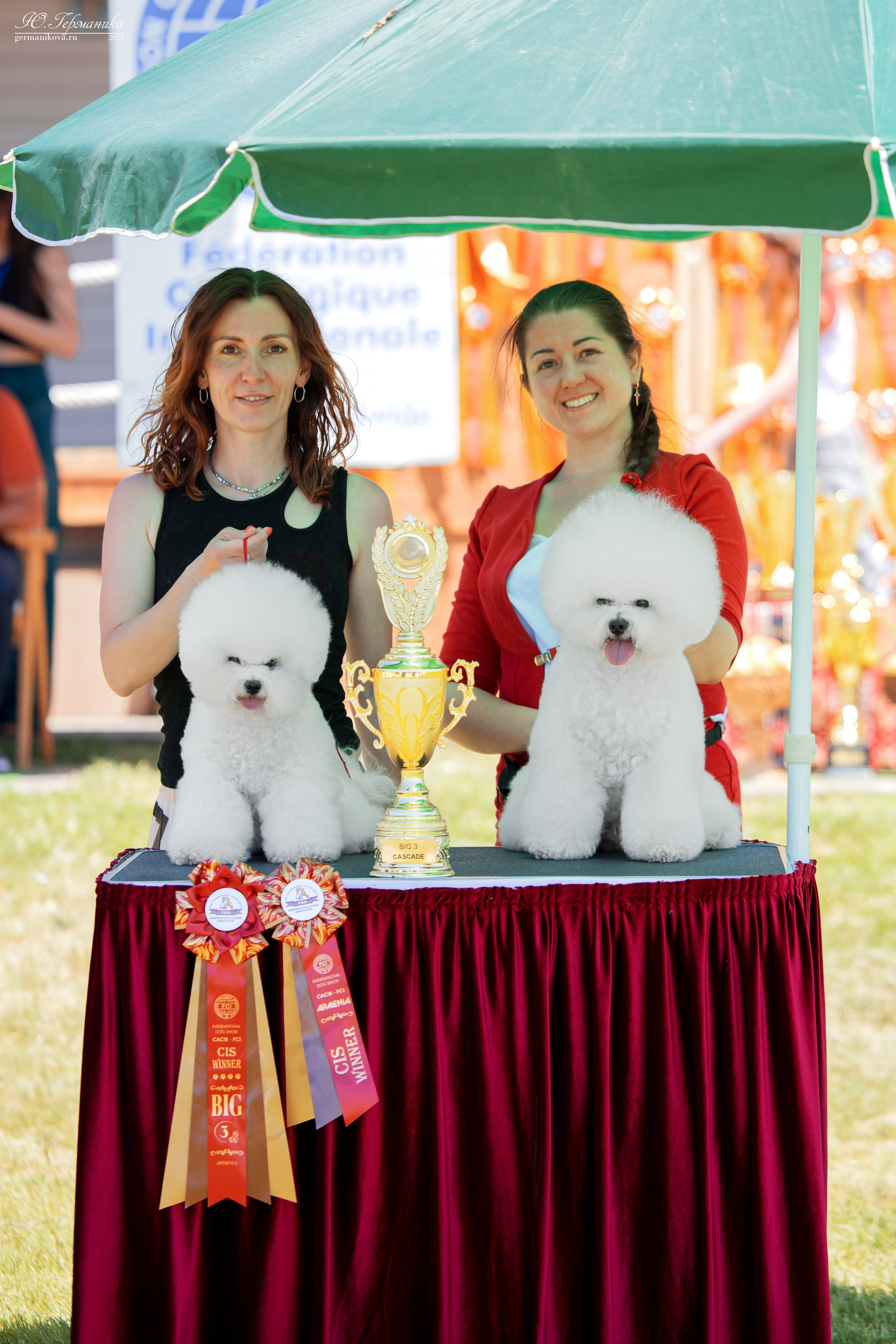 Ереван 3-5.06.2024. Фотограф-анималист Юлия Германика