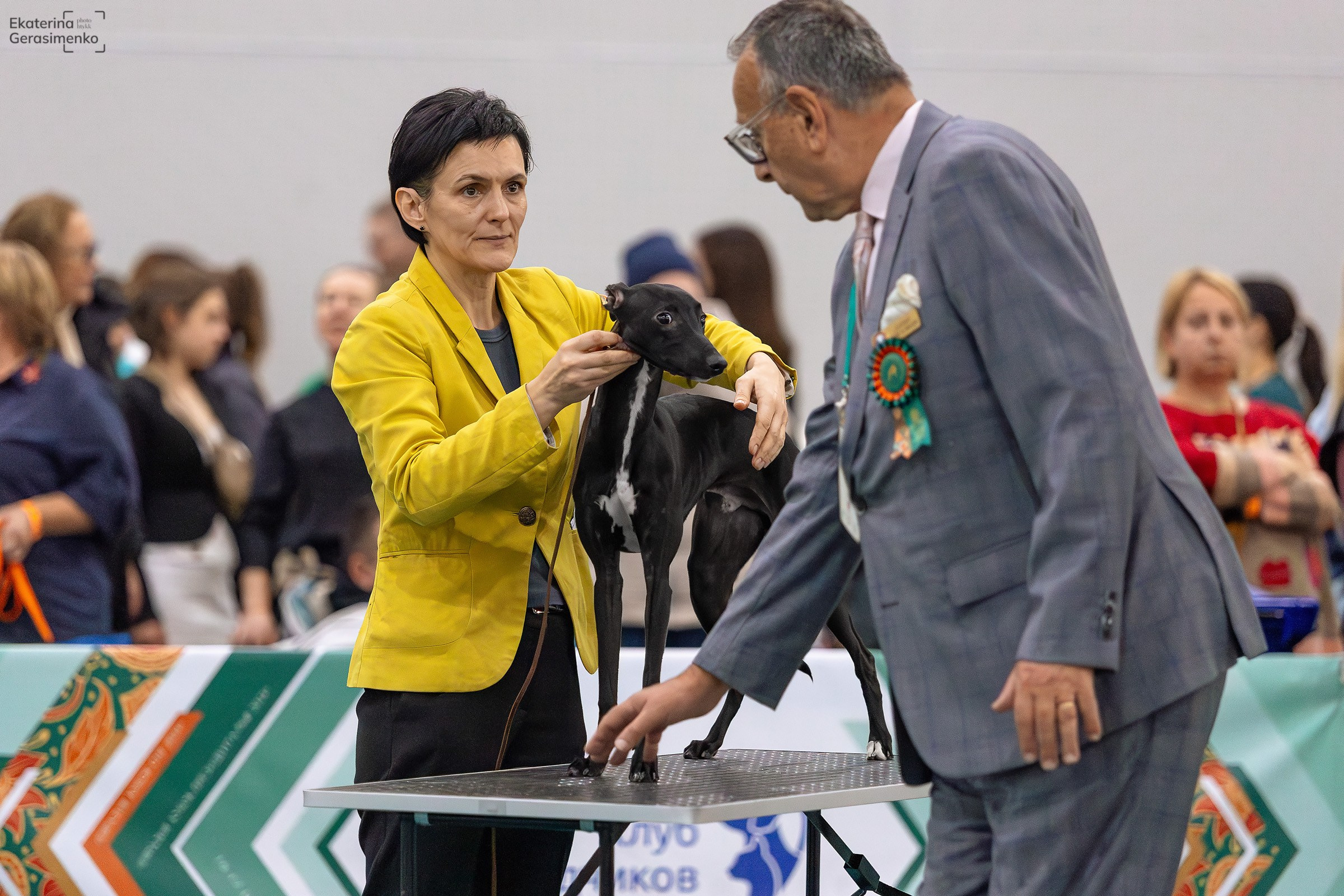 16–17 ноября 2024, Выставка ЕВРАЗИЯ, г. Москва. Htykk_photo