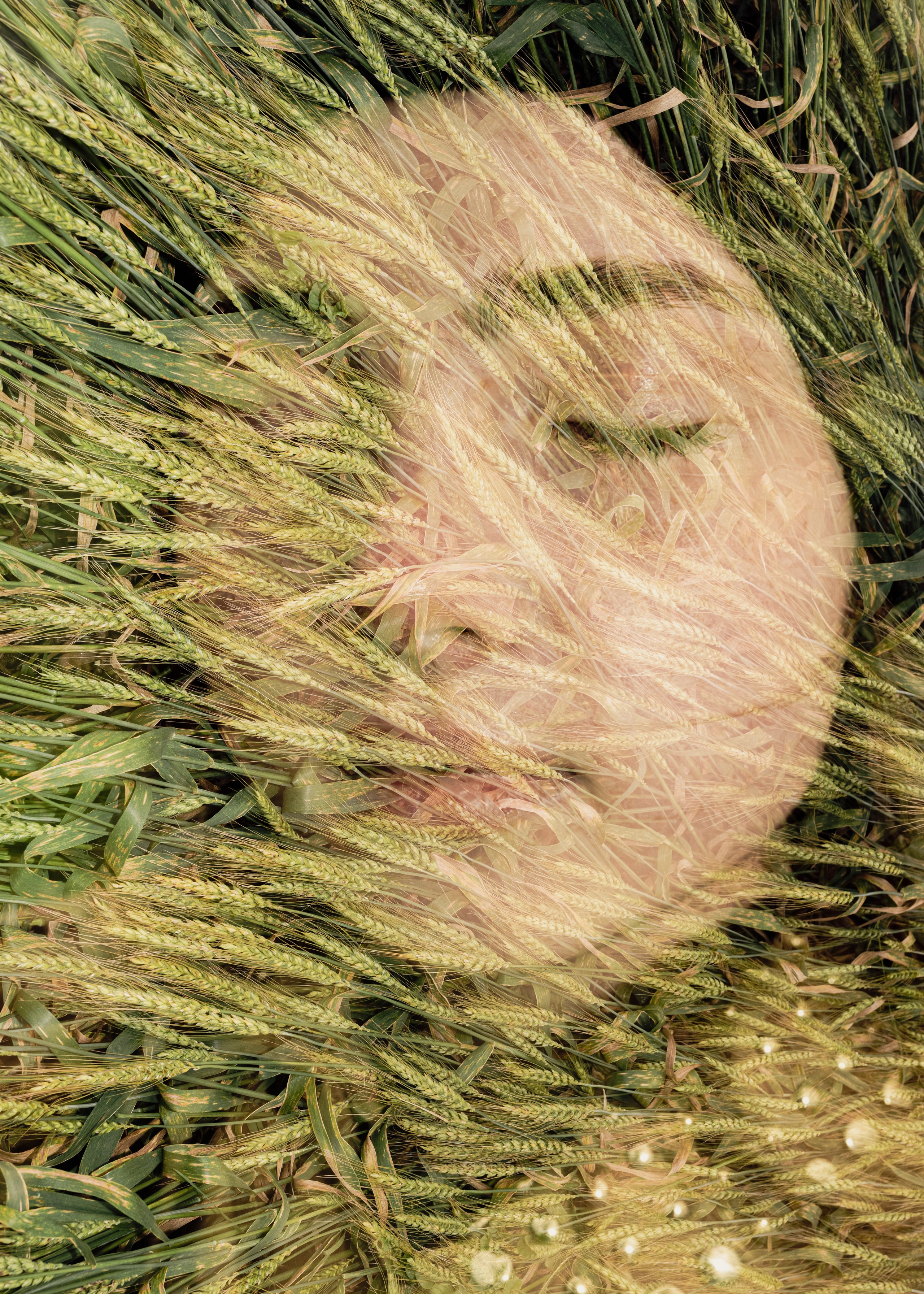 Цветные фотографии. Фотографии Лены Соколовой