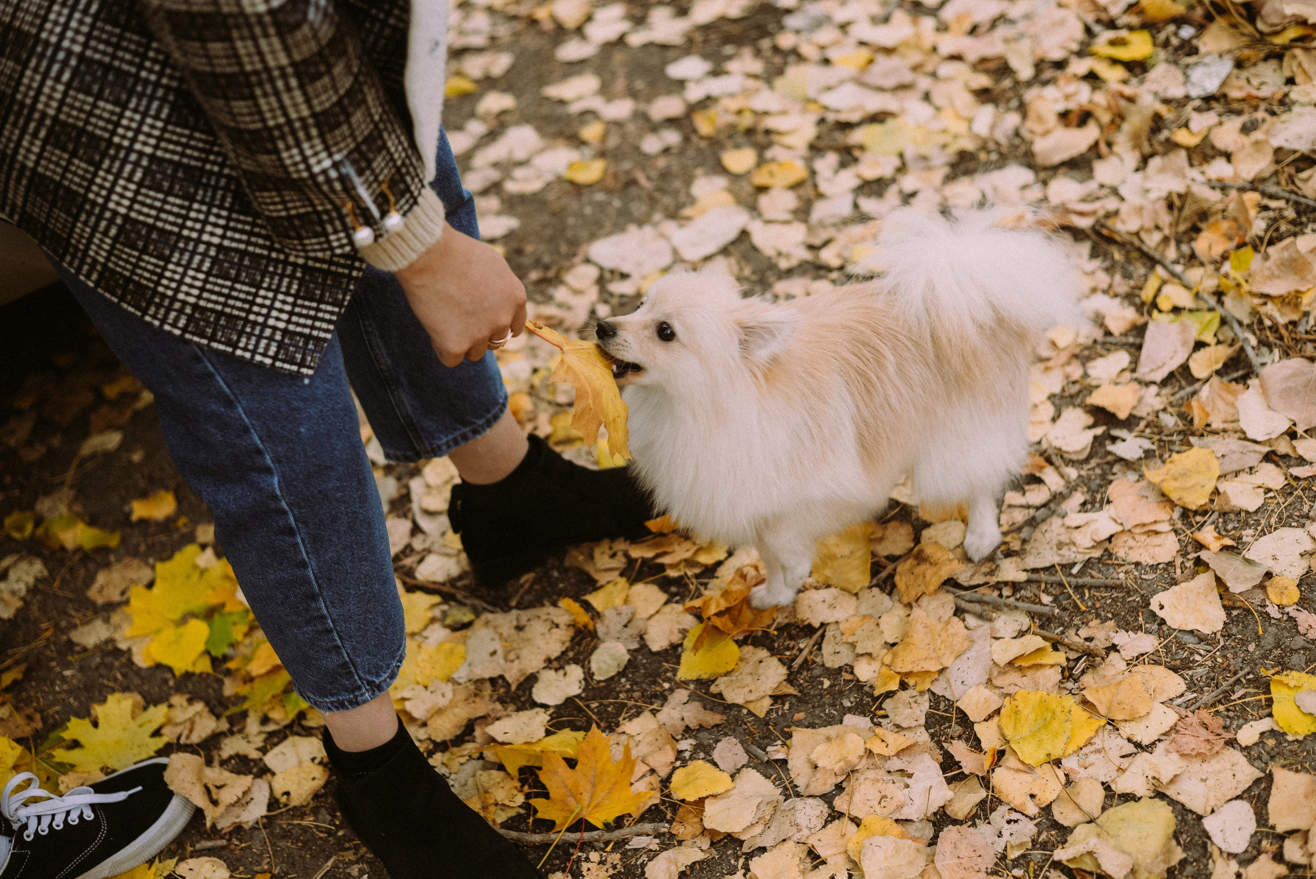 Анастасия и Влад. Свадебный и семейный фотограф Ростов-на-Дону Евгения Борисова