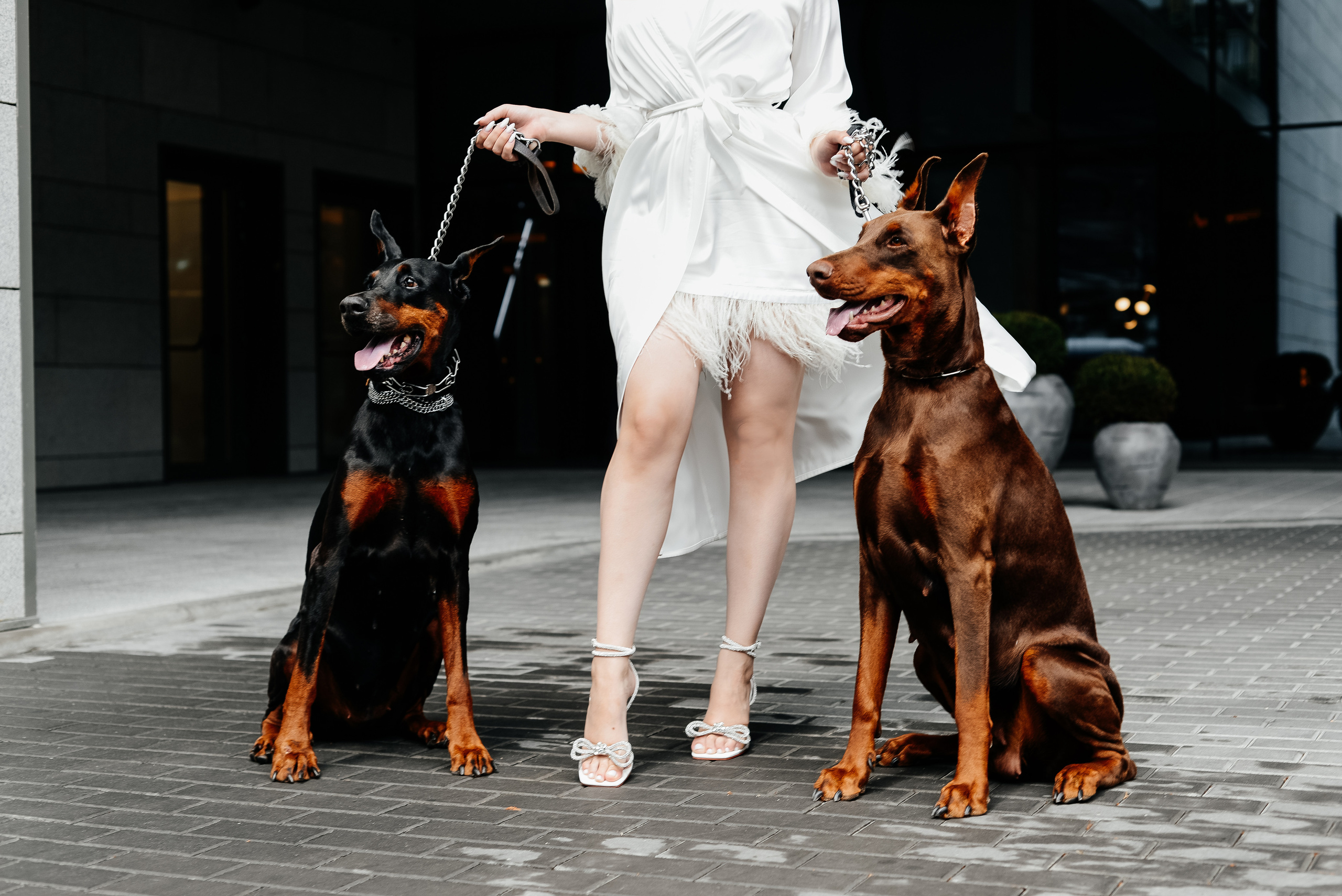 Артем & Анастасия. Свадебный и семейный фотограф Ростов-на-Дону Евгения Борисова