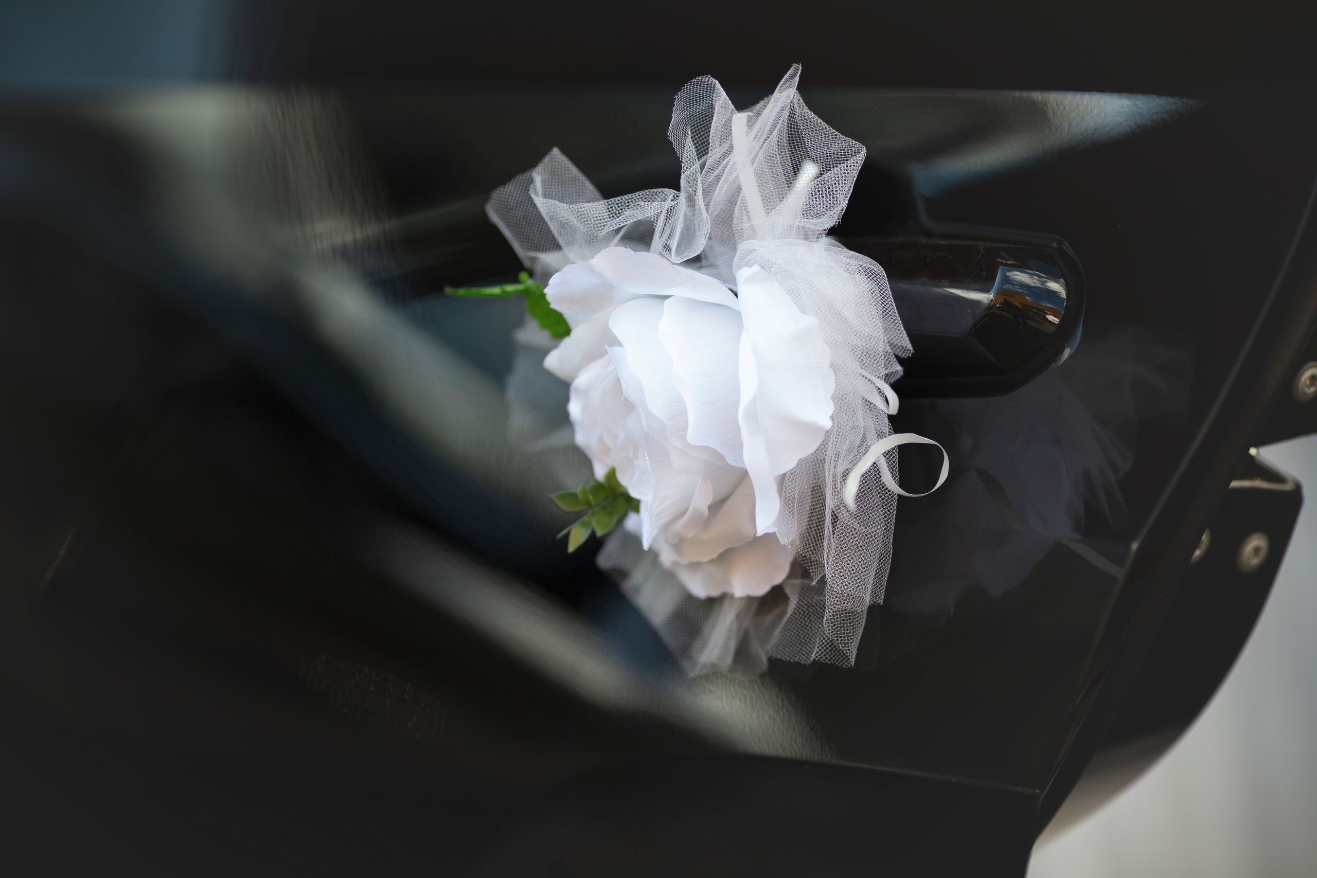 Арсений и Александра ~ Барвиха Luxury. Семейный и свадебный фотограф в Москве Татьяна Седлецкая