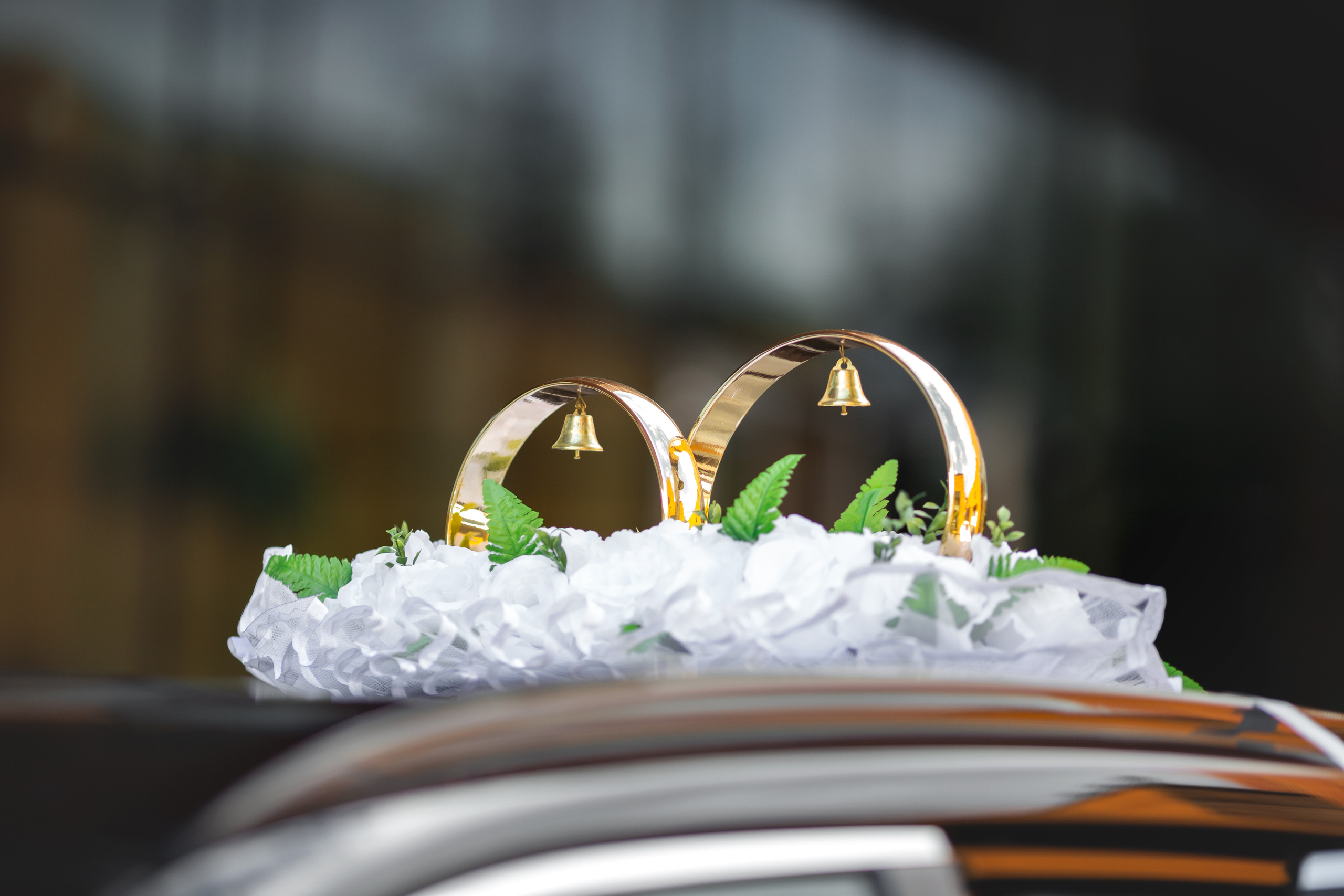 Арсений и Александра ~ Барвиха Luxury. Семейный и свадебный фотограф в Москве Татьяна Седлецкая