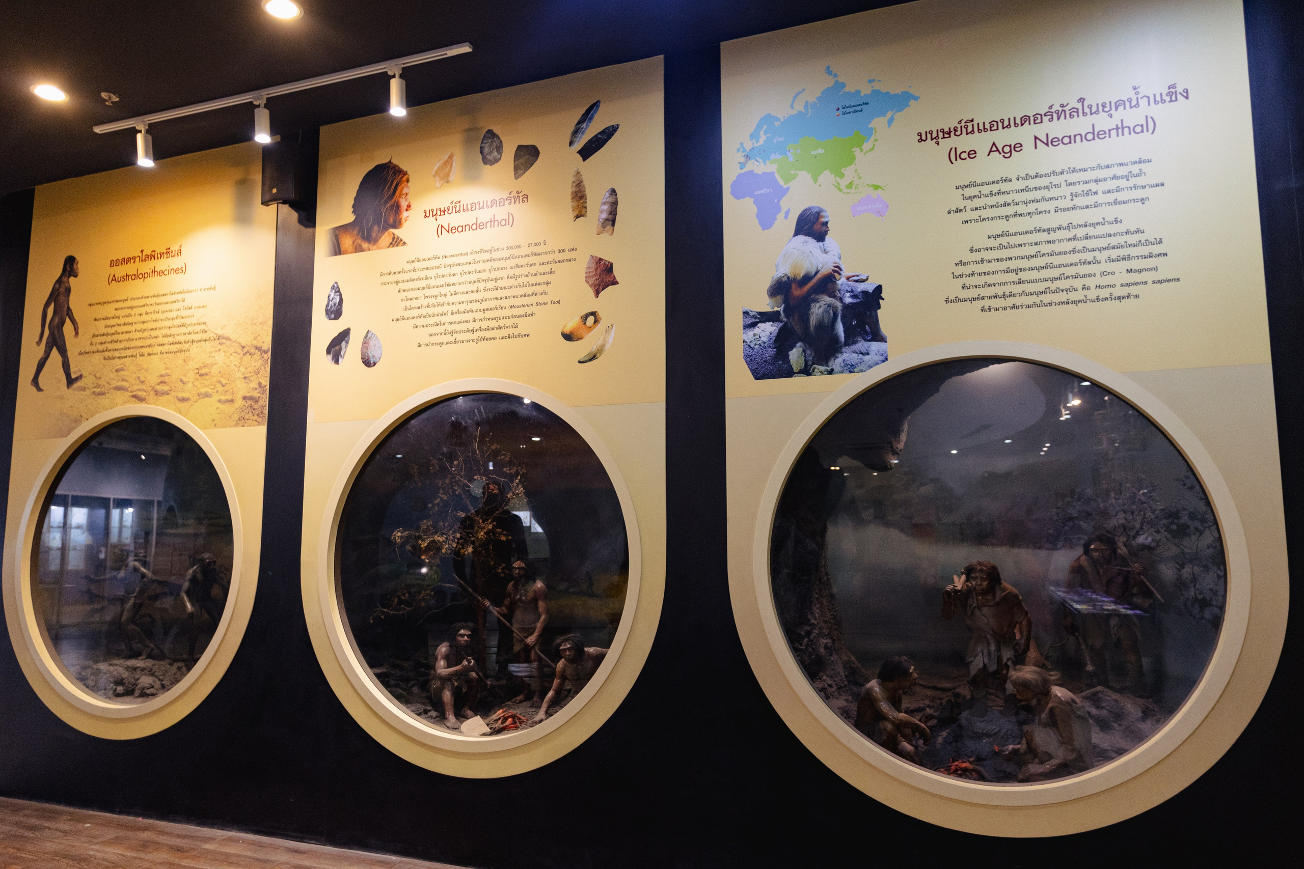 Bangkok Planetarium. Photographer Sonkina Tatiana (Tanya Ash)