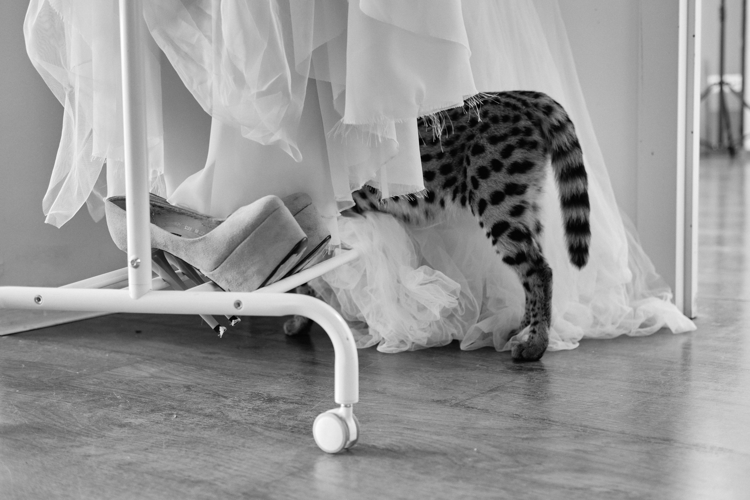 Даша и Лео. Ася Ложкина фотограф Ижевск