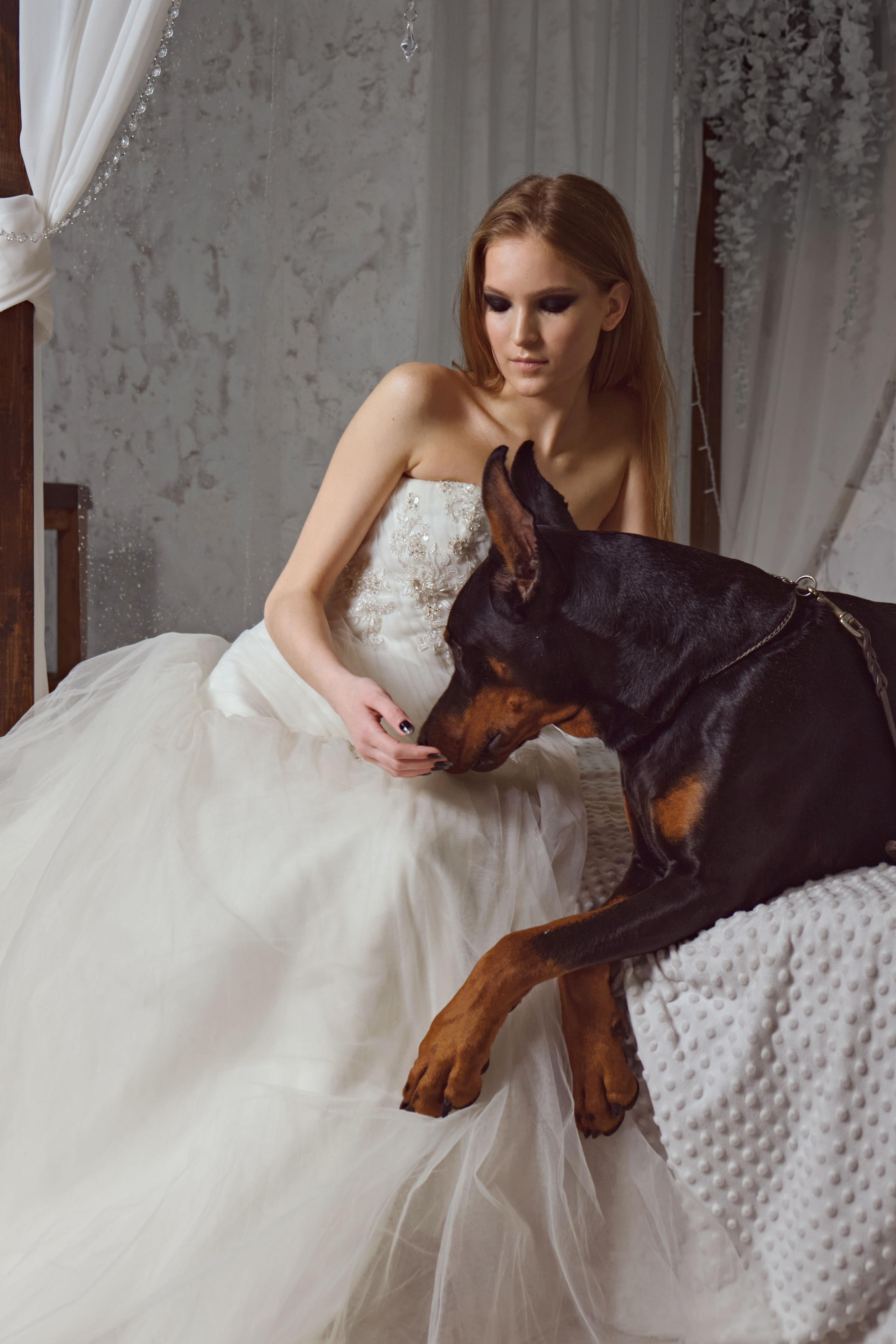 Доберманы. Ася Ложкина фотограф Ижевск