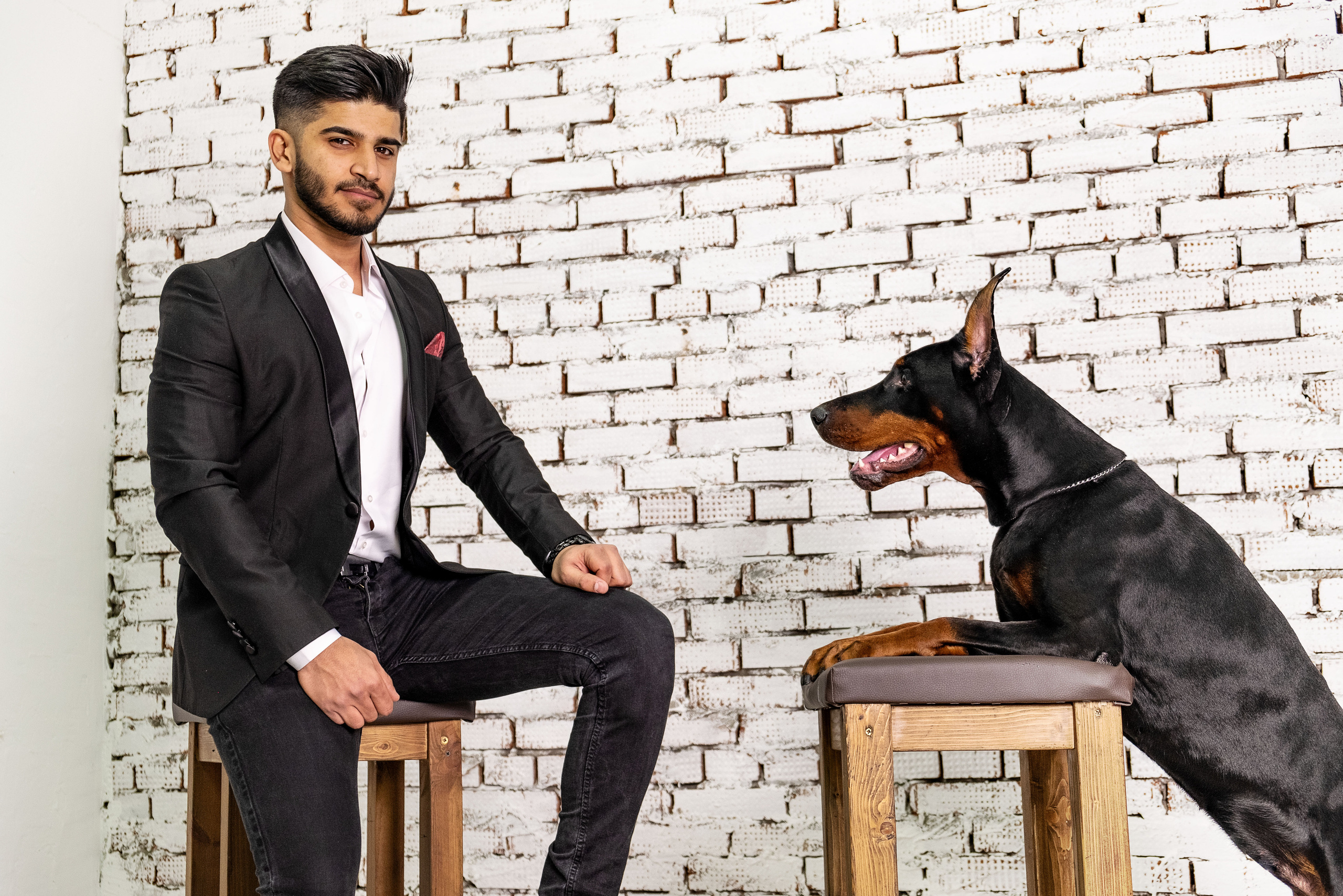 Доберманы. Ася Ложкина фотограф Ижевск