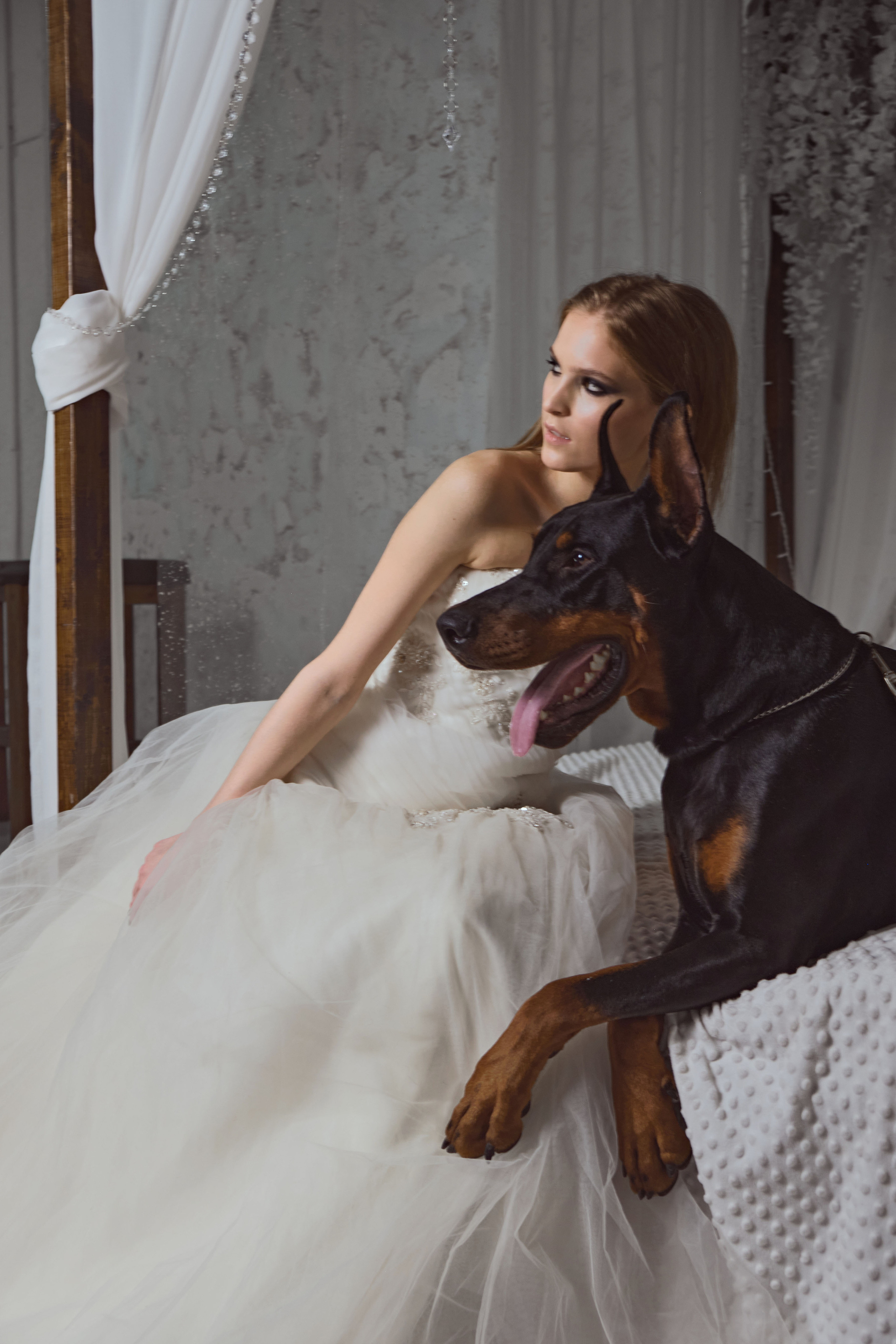 Доберманы. Ася Ложкина фотограф Ижевск