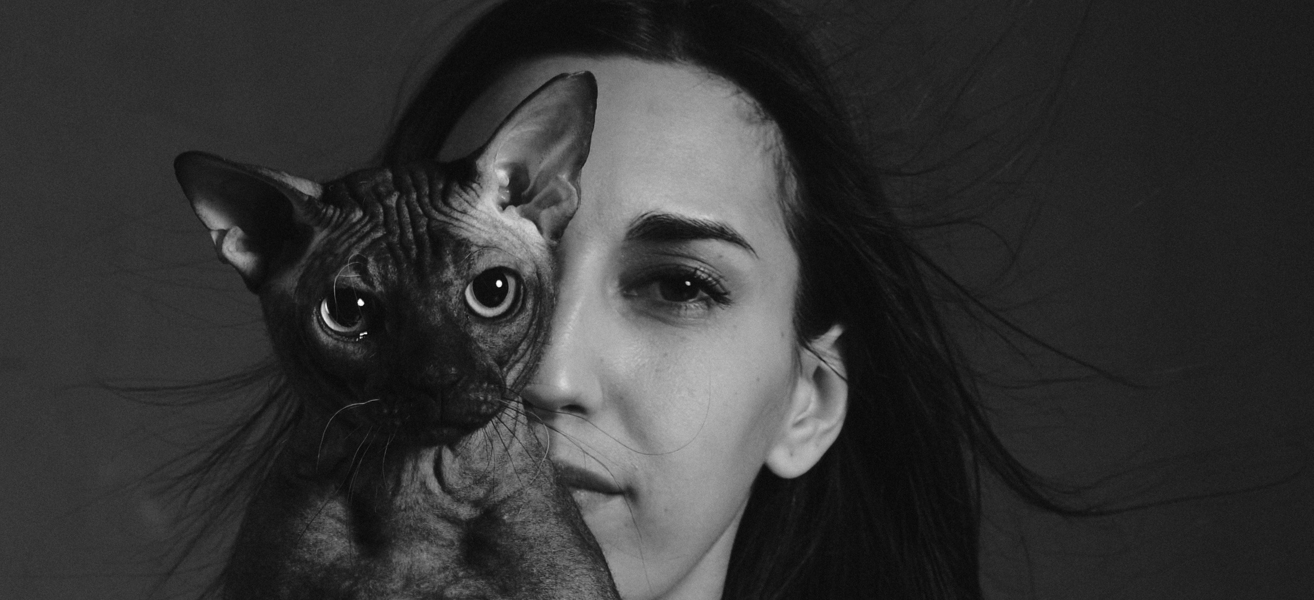 Сфинкс. Ася Ложкина фотограф Ижевск