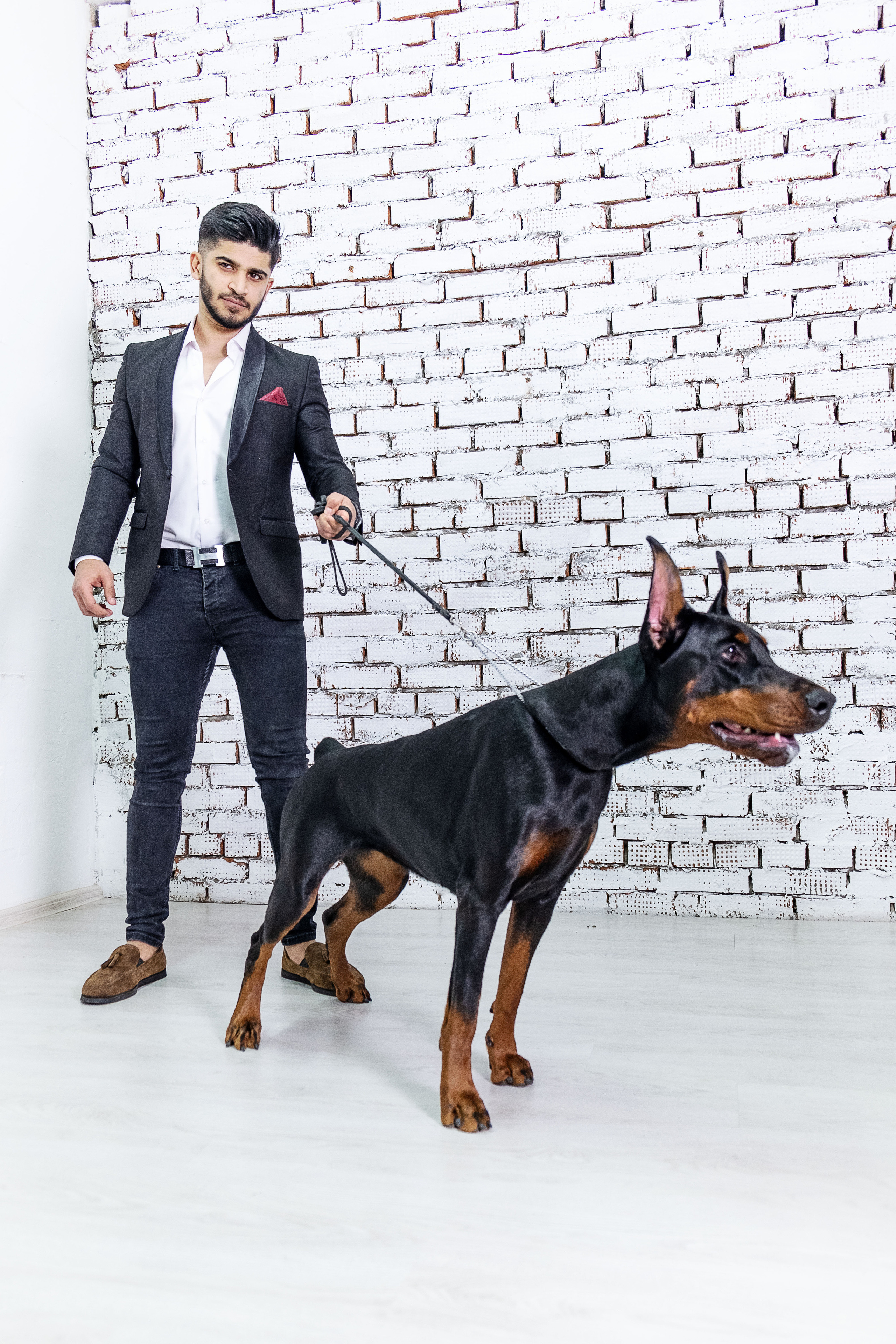 Доберманы. Ася Ложкина фотограф Ижевск