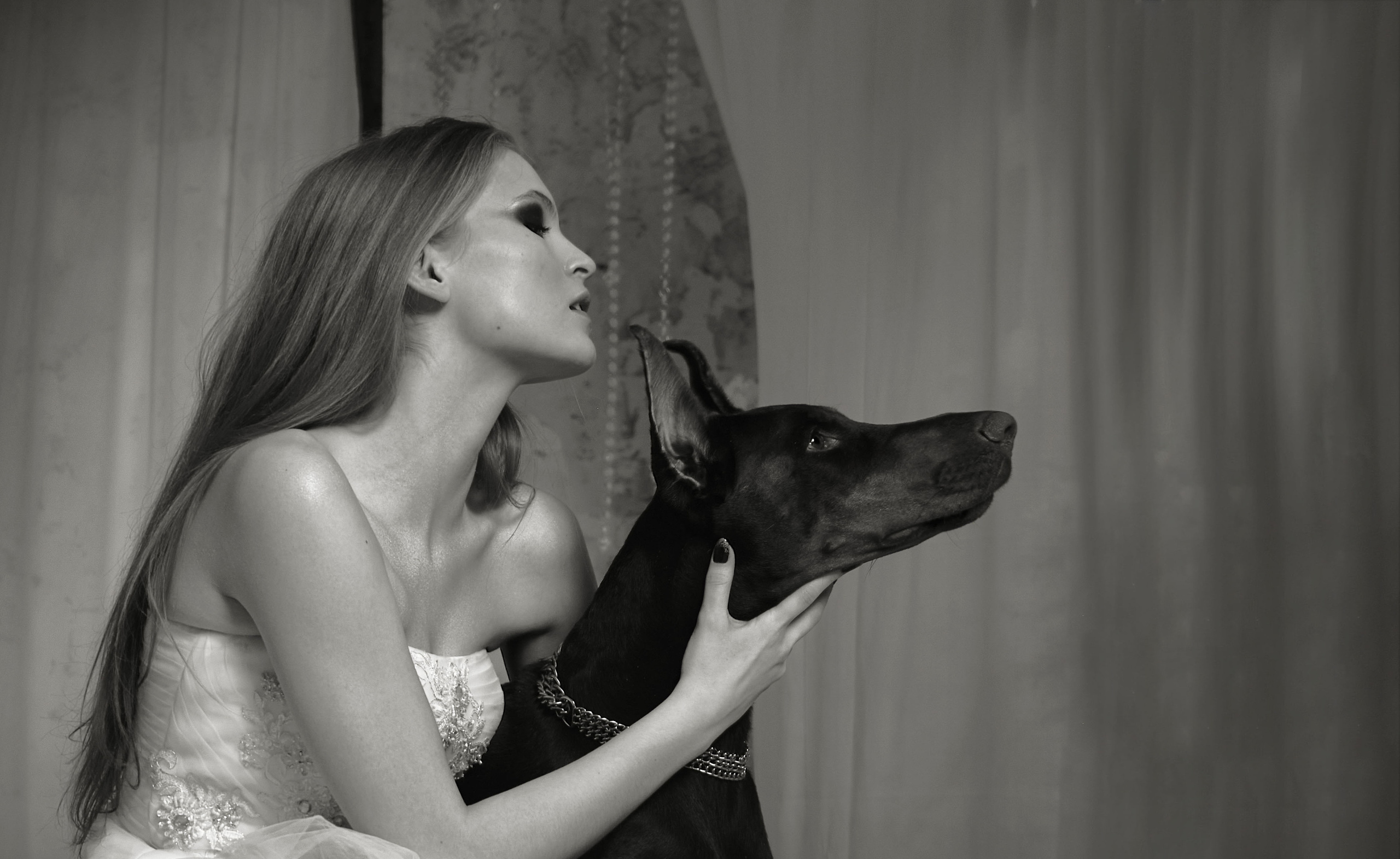 Доберманы. Ася Ложкина фотограф Ижевск