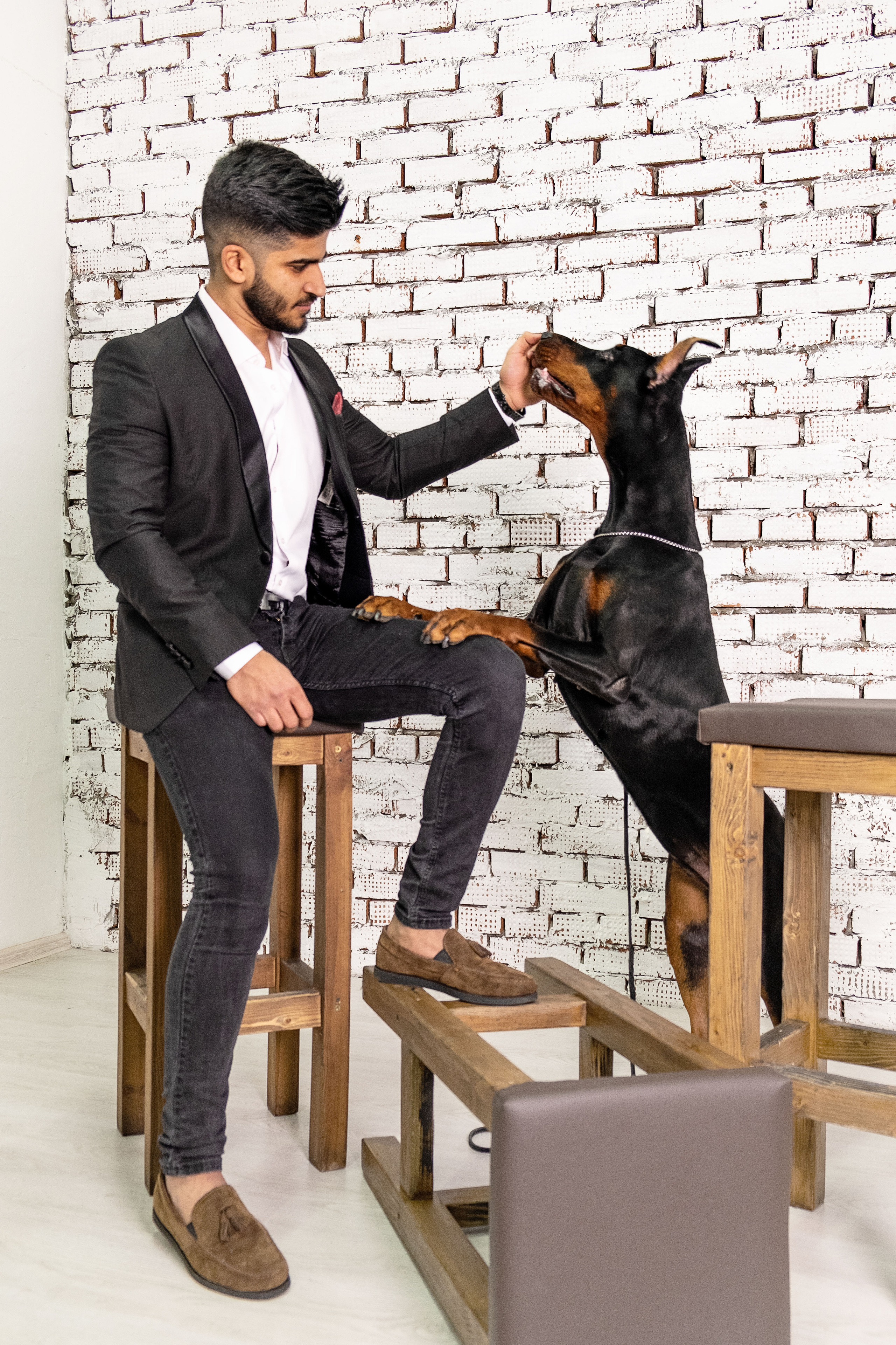 Доберманы. Ася Ложкина фотограф Ижевск