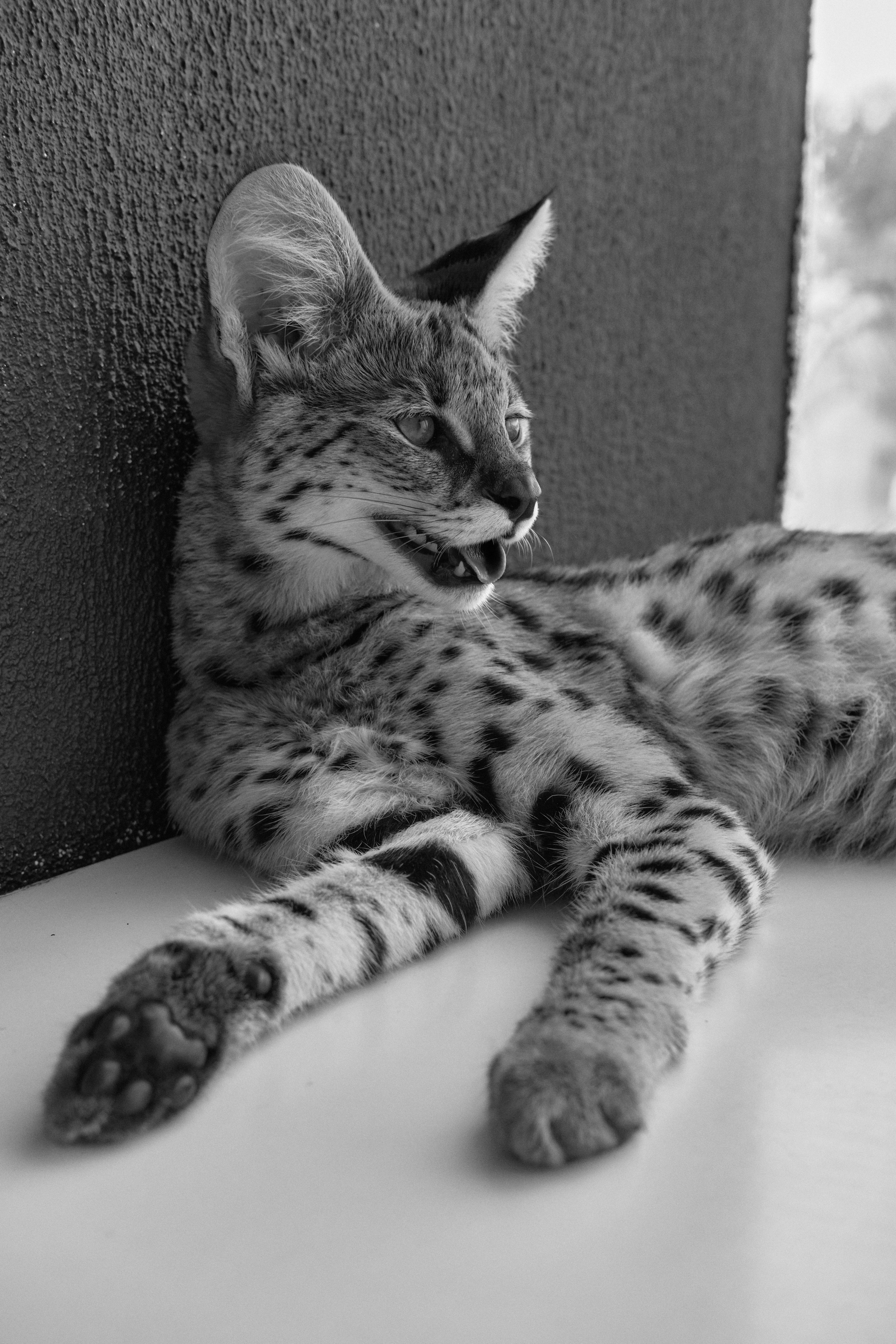 Даша и Лео. Ася Ложкина фотограф Ижевск