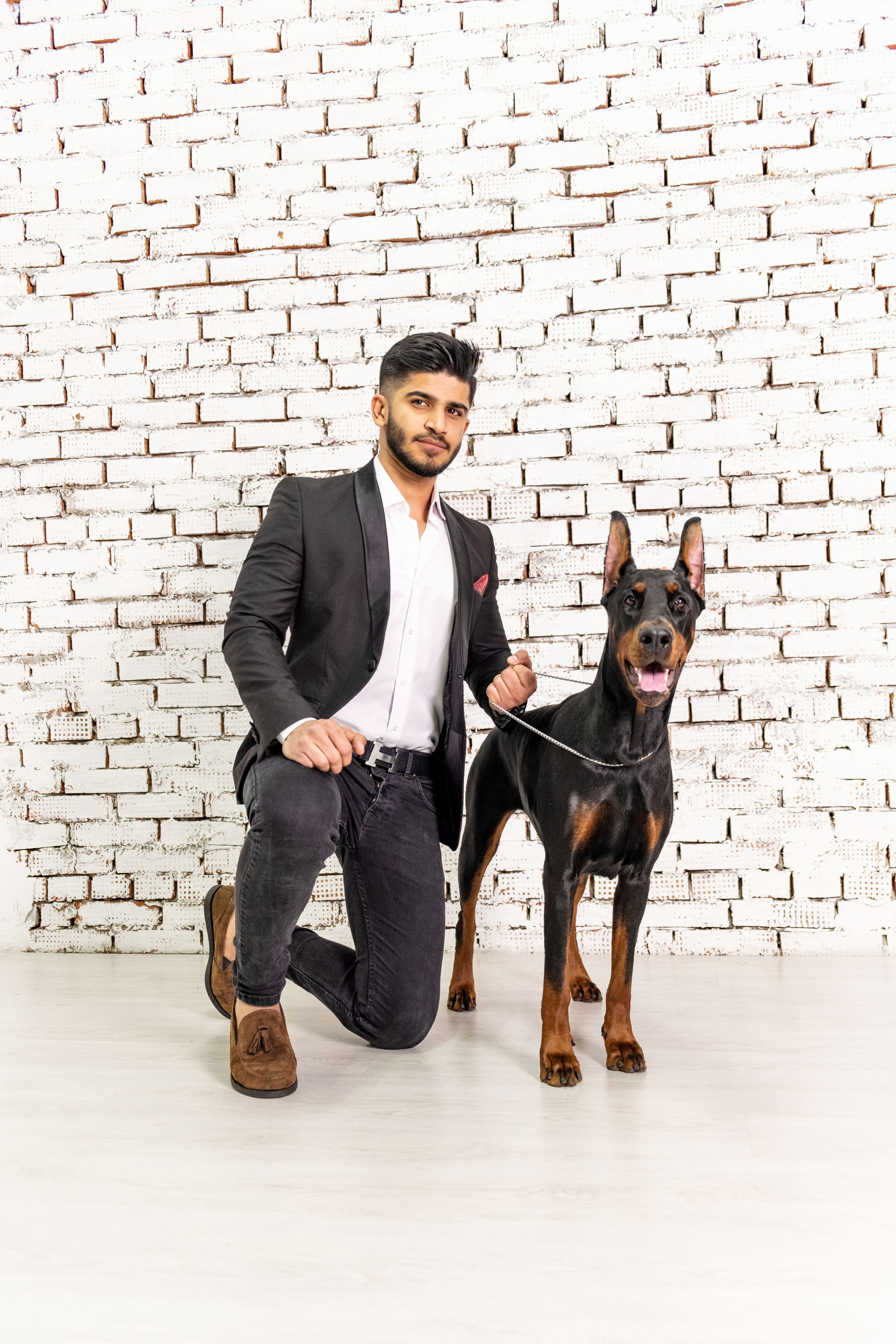 Доберманы. Ася Ложкина фотограф Ижевск