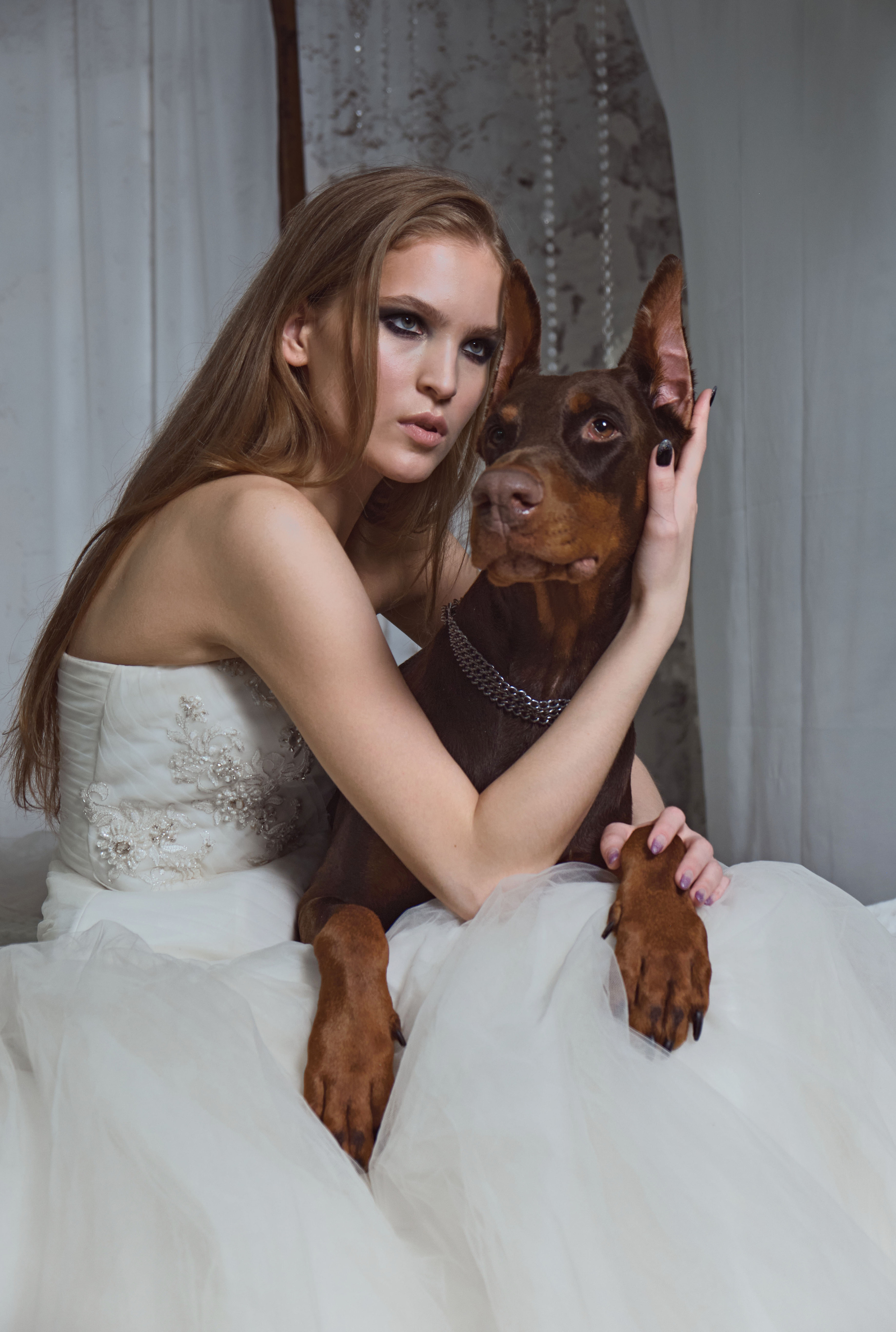 Доберманы. Ася Ложкина фотограф Ижевск