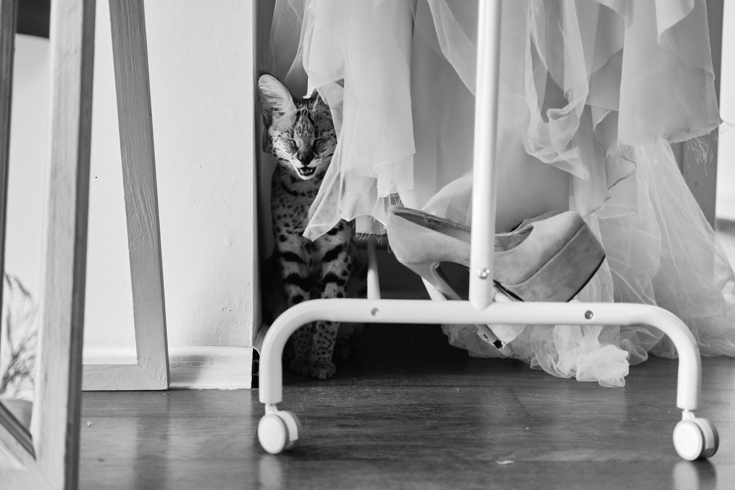 Даша и Лео. Ася Ложкина фотограф Ижевск