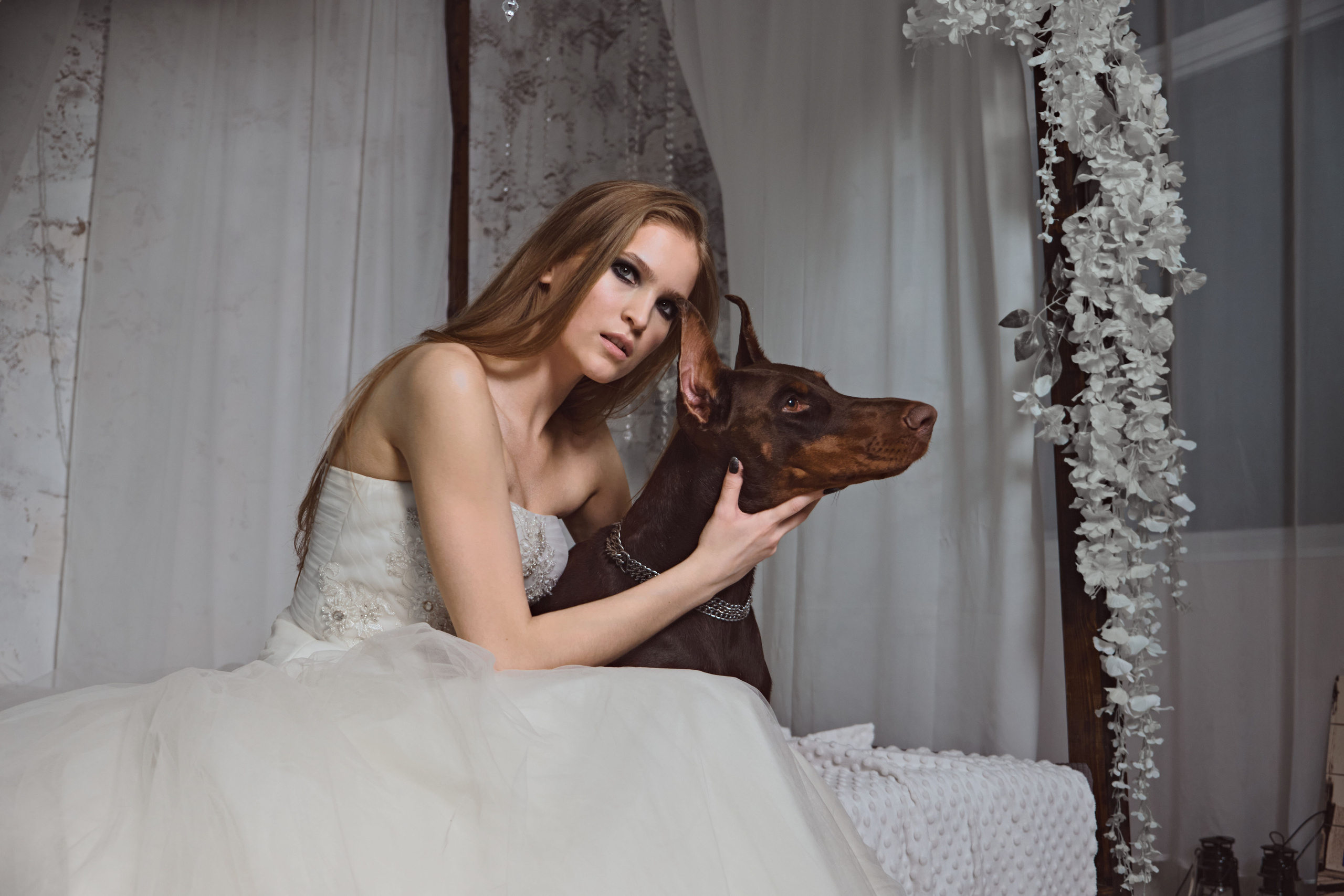 Доберманы. Ася Ложкина фотограф Ижевск