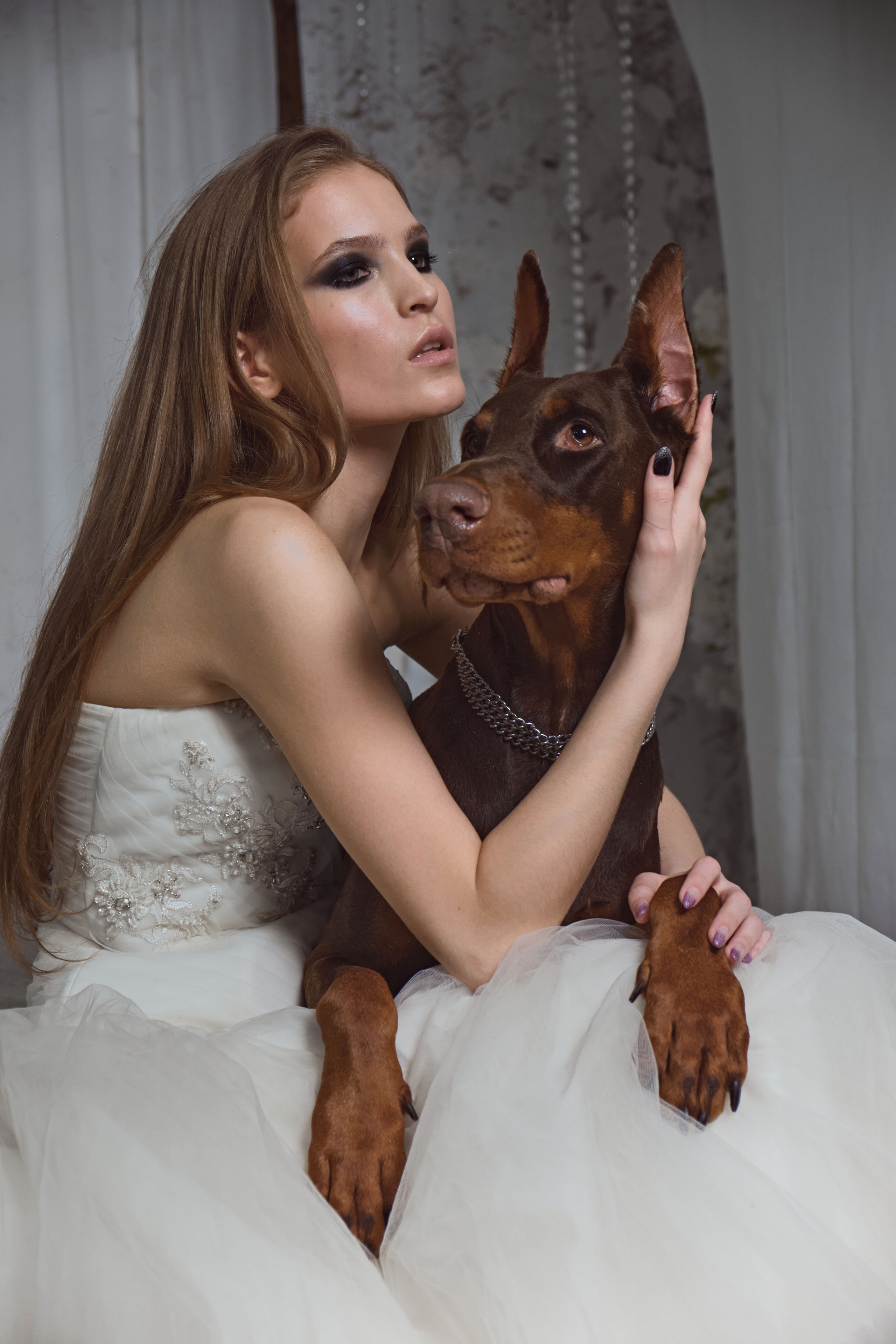 Доберманы. Ася Ложкина фотограф Ижевск